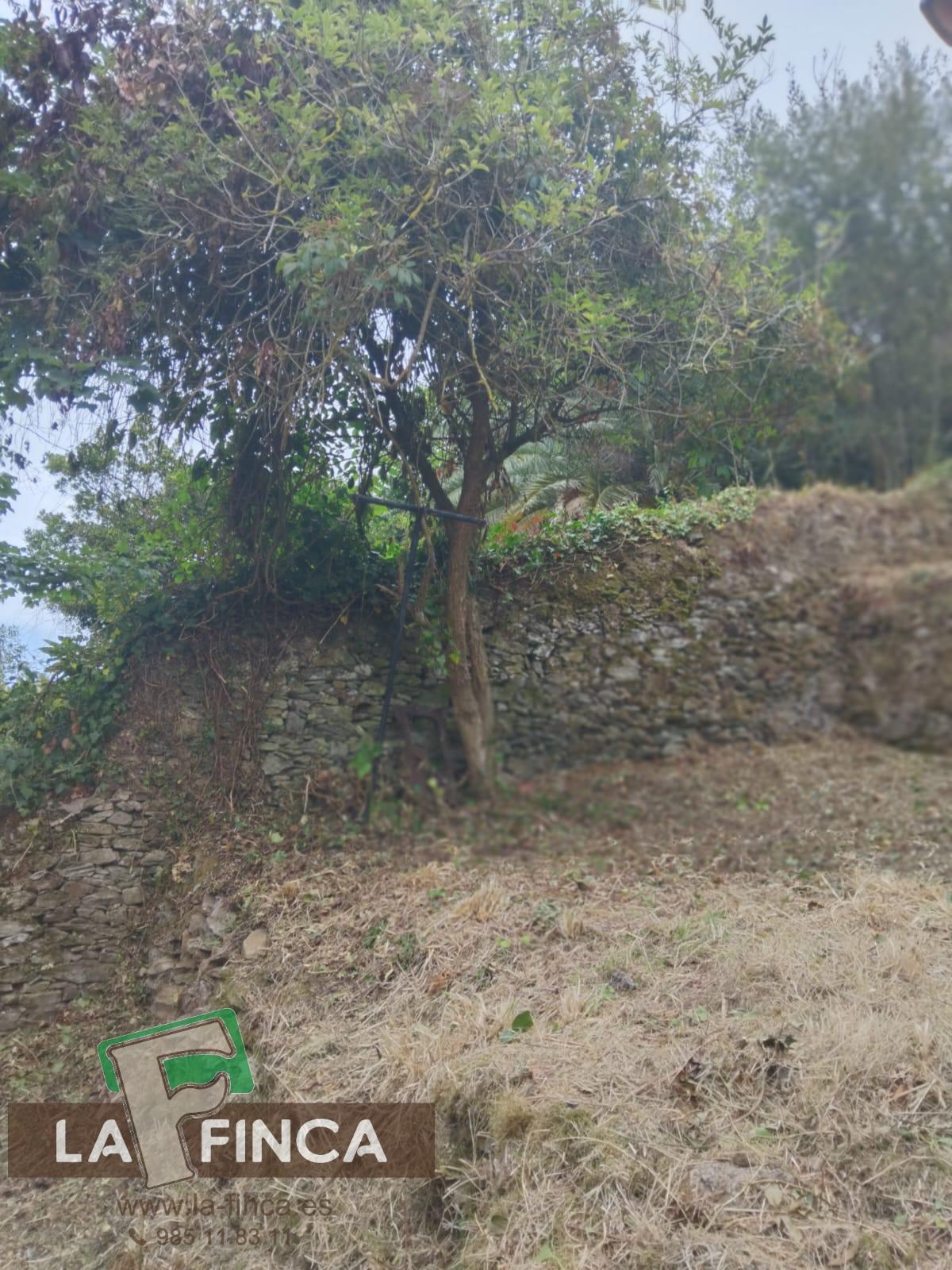 Venta de piso en Cudillero Concejo