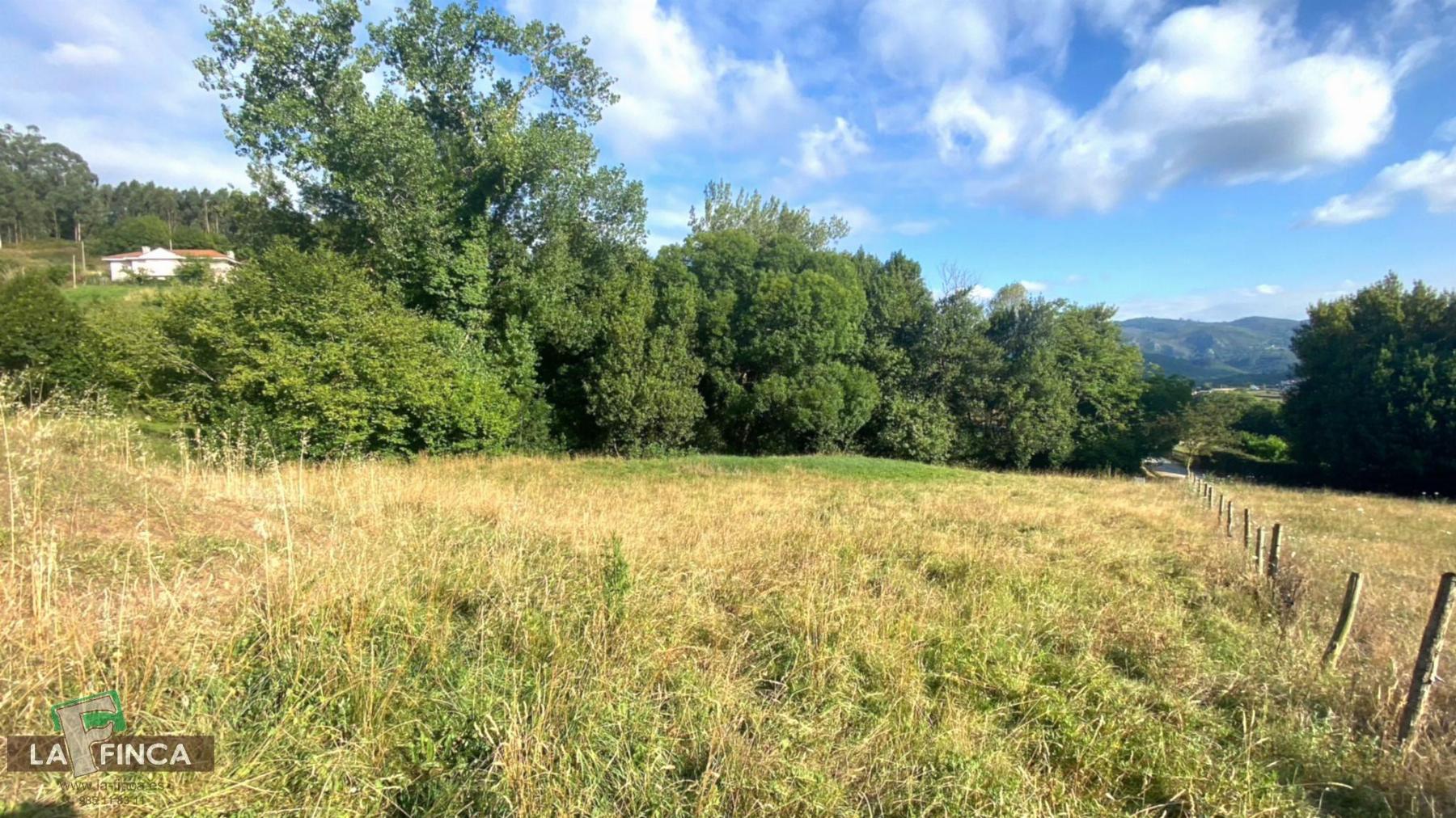 Venta de terreno en Oviedo