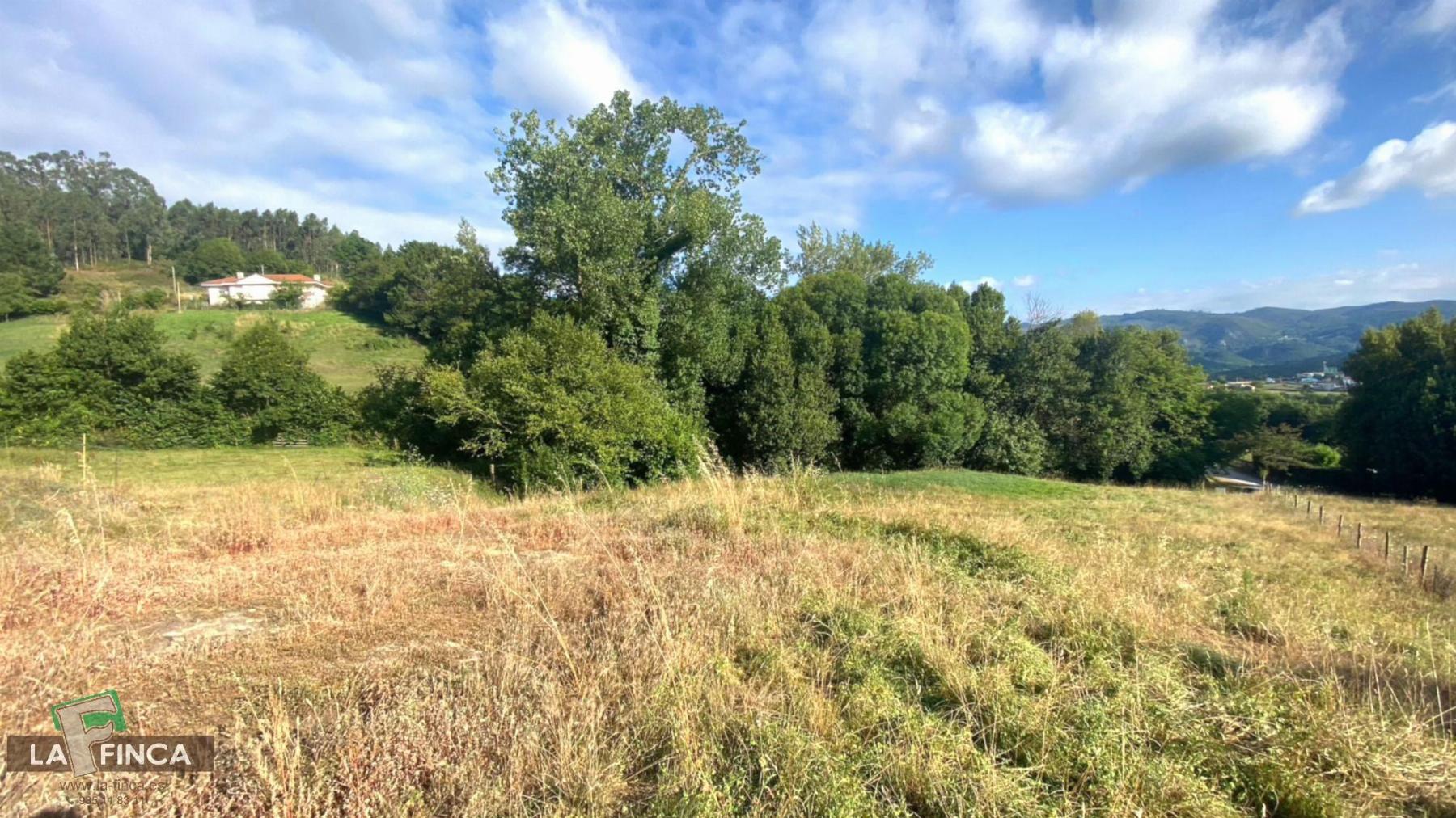 Venta de terreno en Oviedo