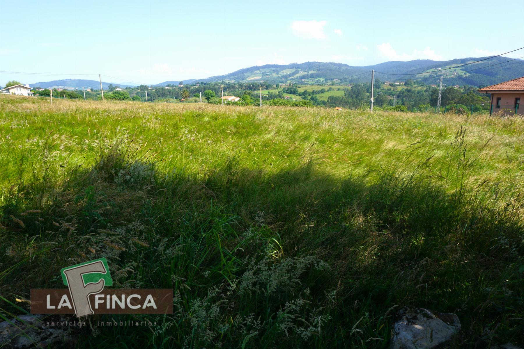 Venta de terreno en Villaviciosa