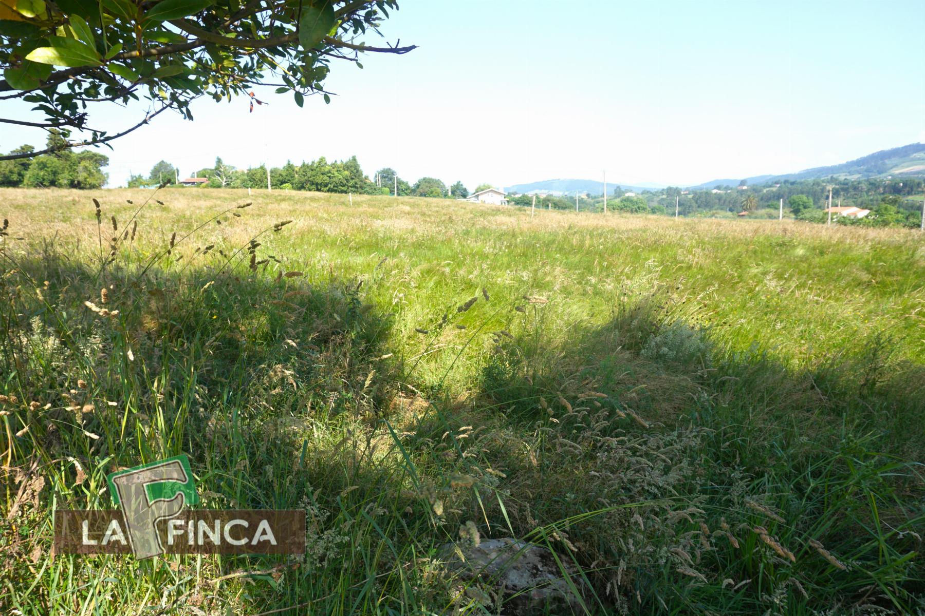 Venta de terreno en Villaviciosa