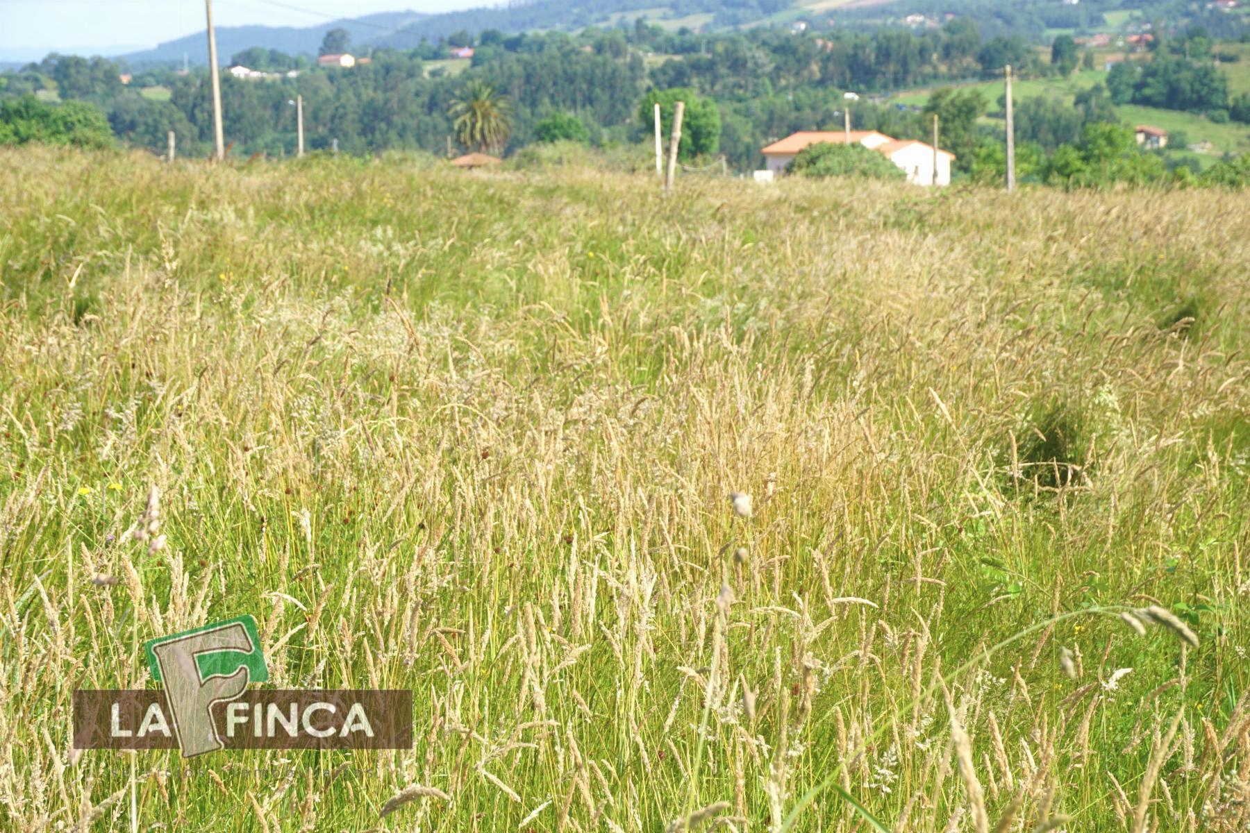 Venta de terreno en Villaviciosa