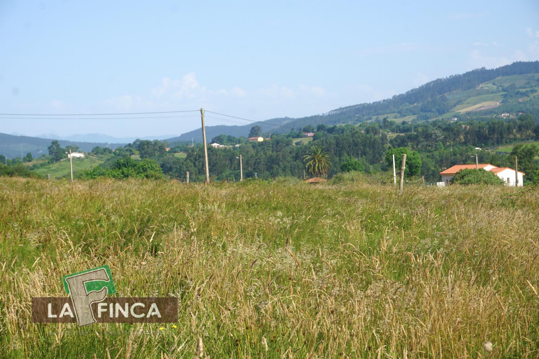 Venta de terreno en Villaviciosa