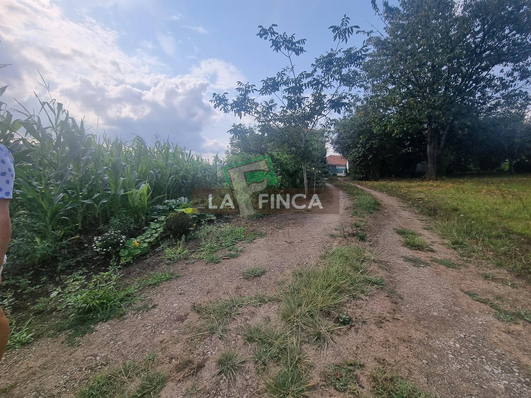 For sale of house in Carreño