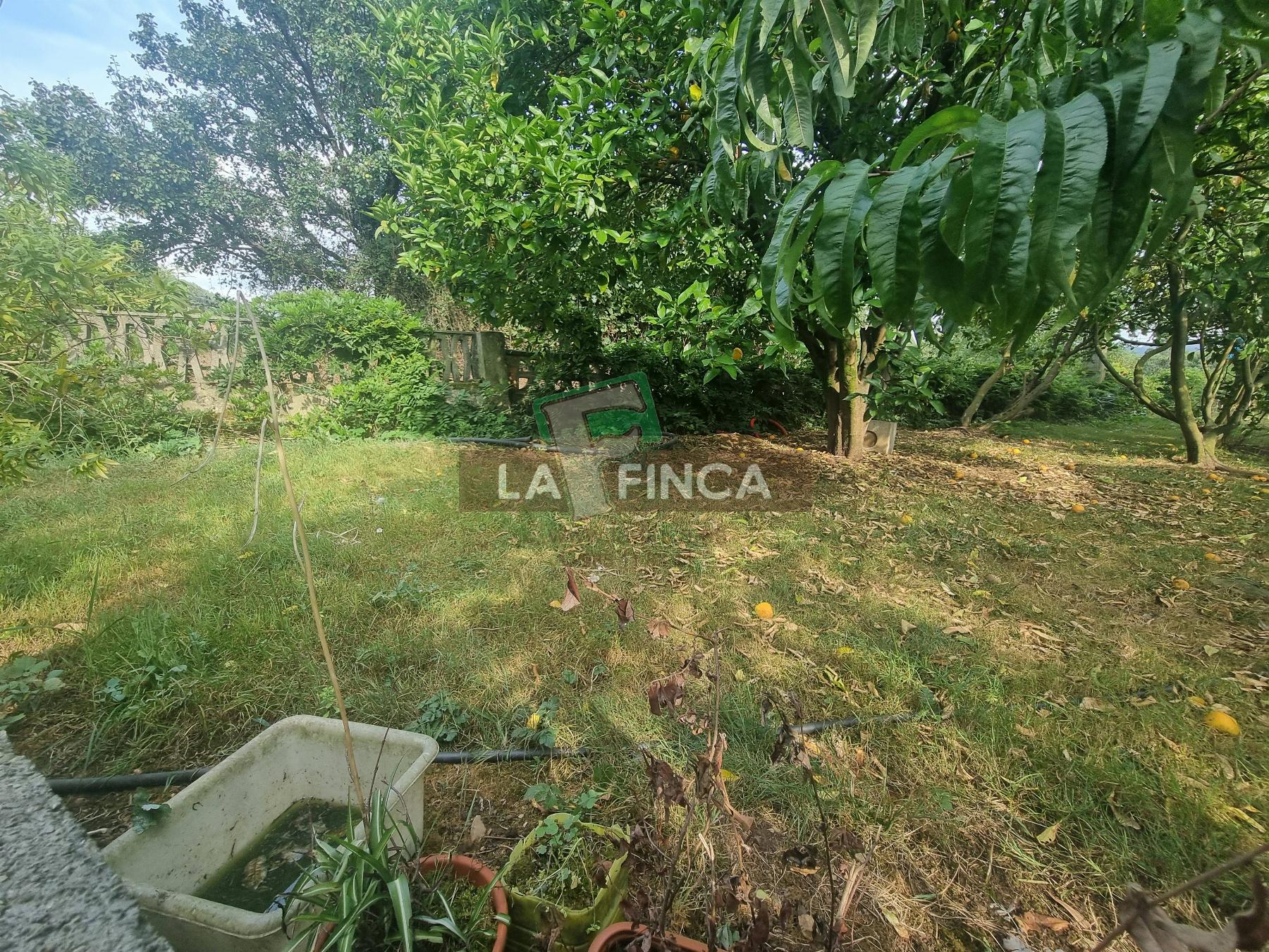 For sale of house in Carreño