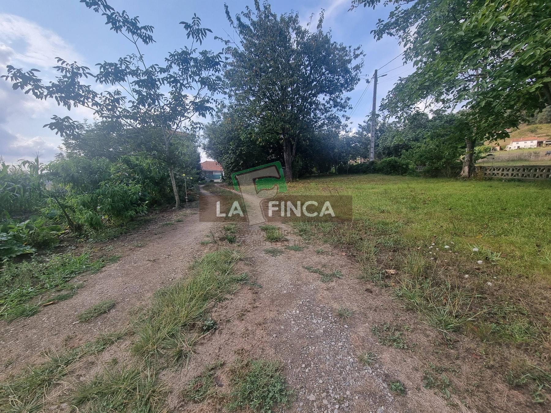 For sale of house in Carreño