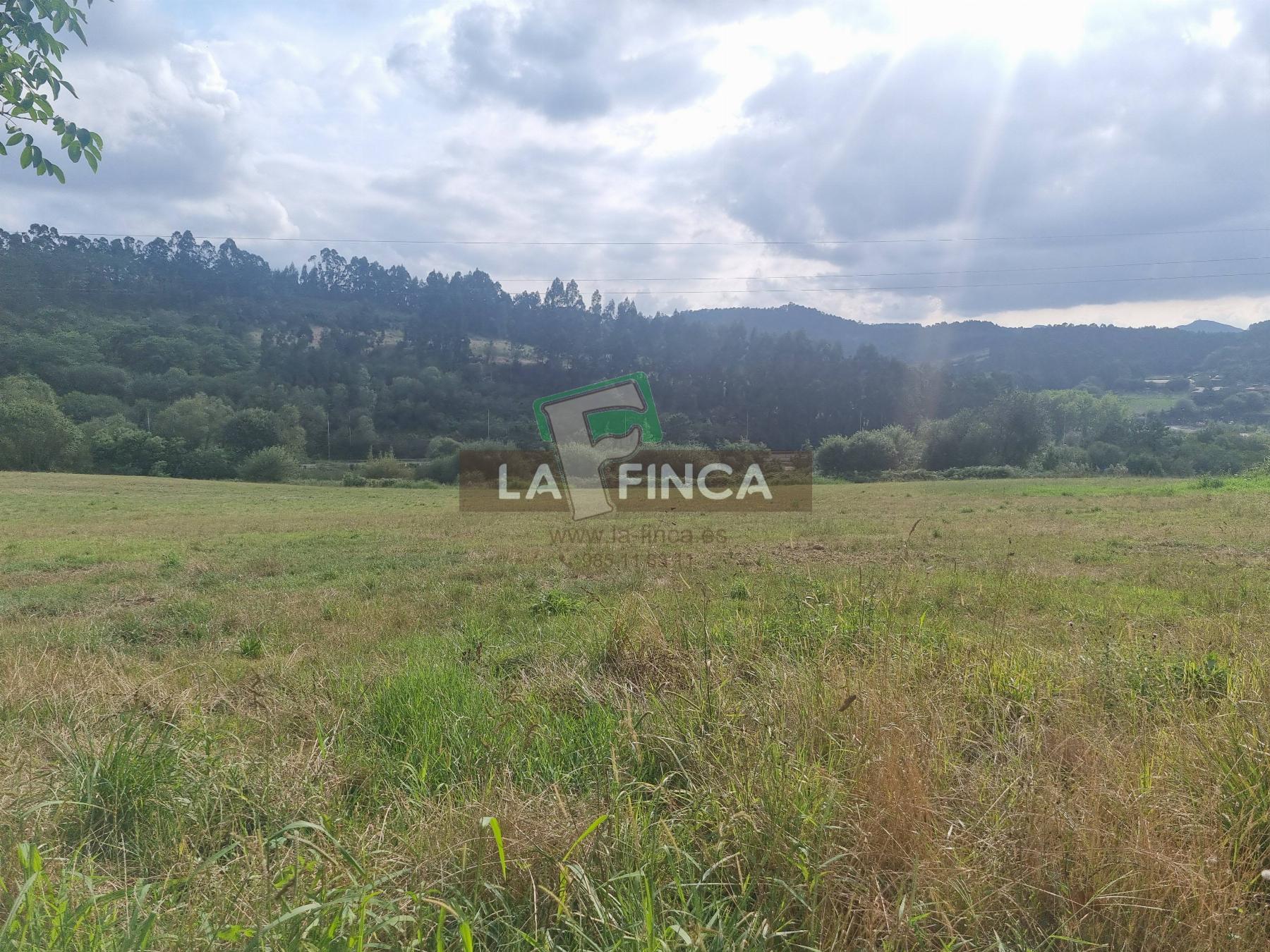 For sale of house in Carreño