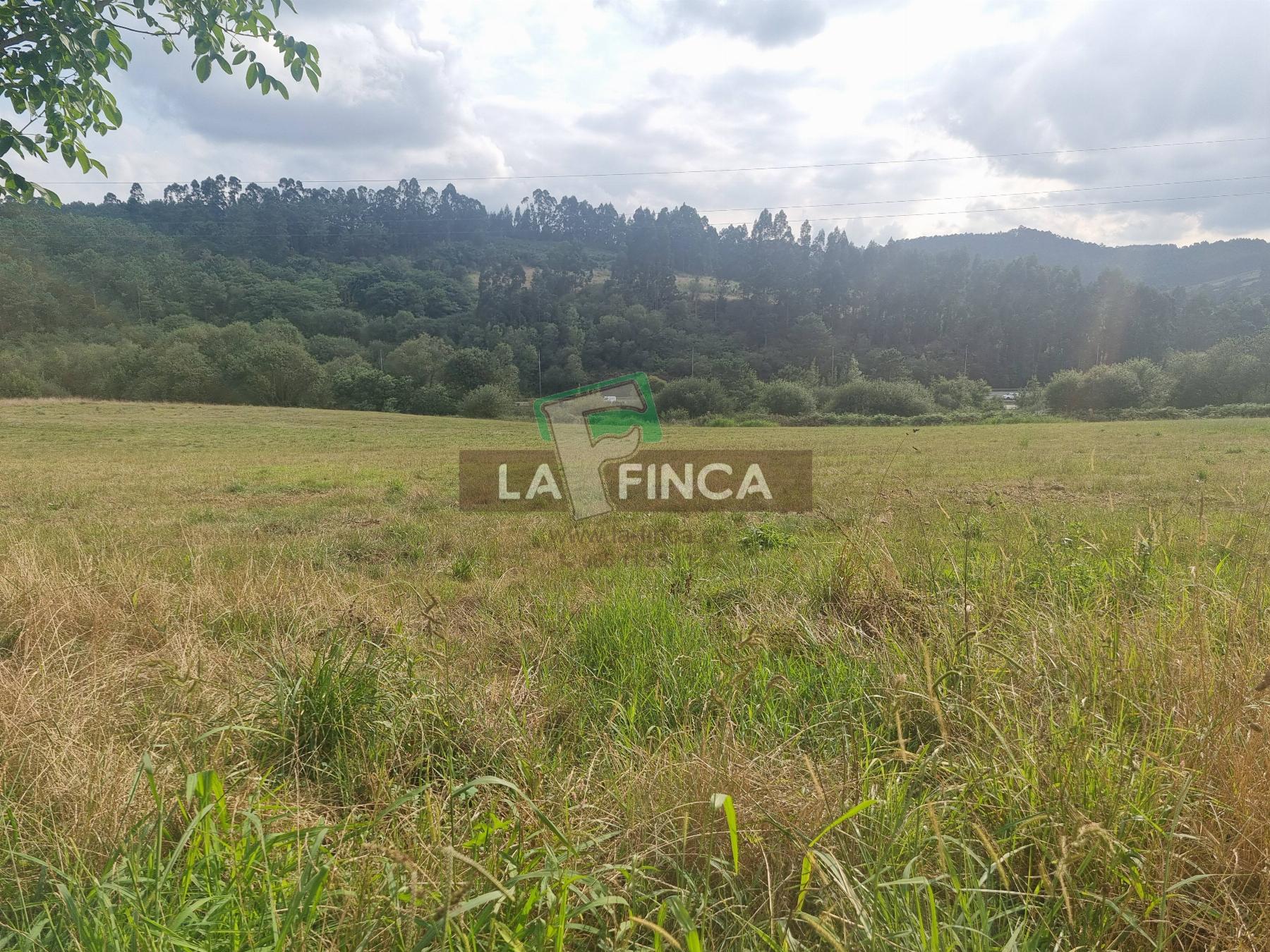 For sale of house in Carreño