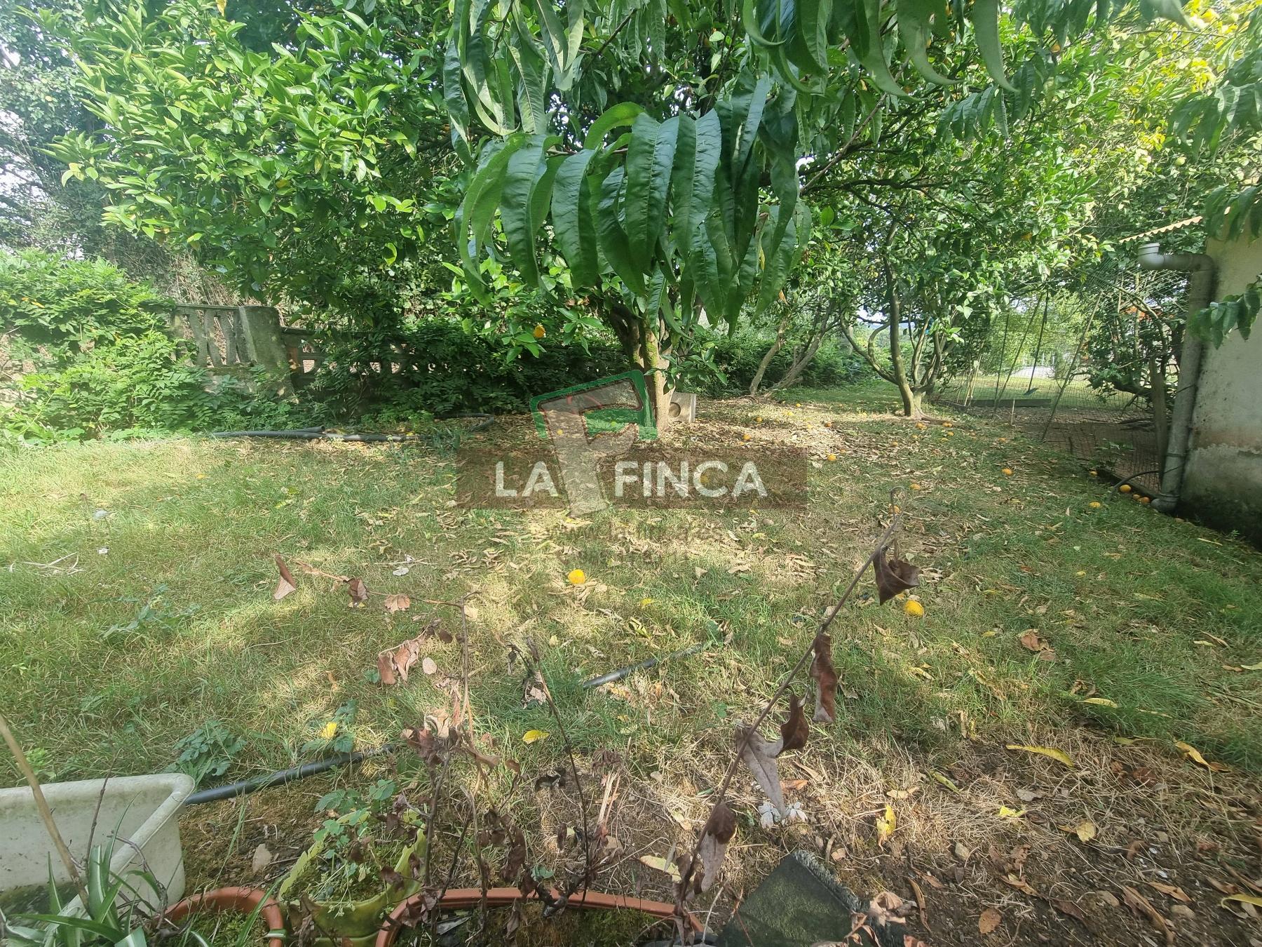 For sale of house in Carreño