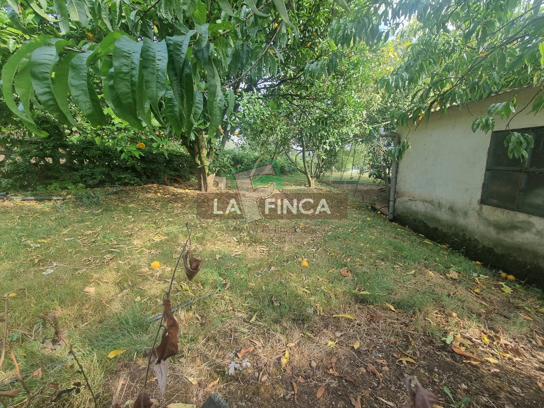 For sale of house in Carreño
