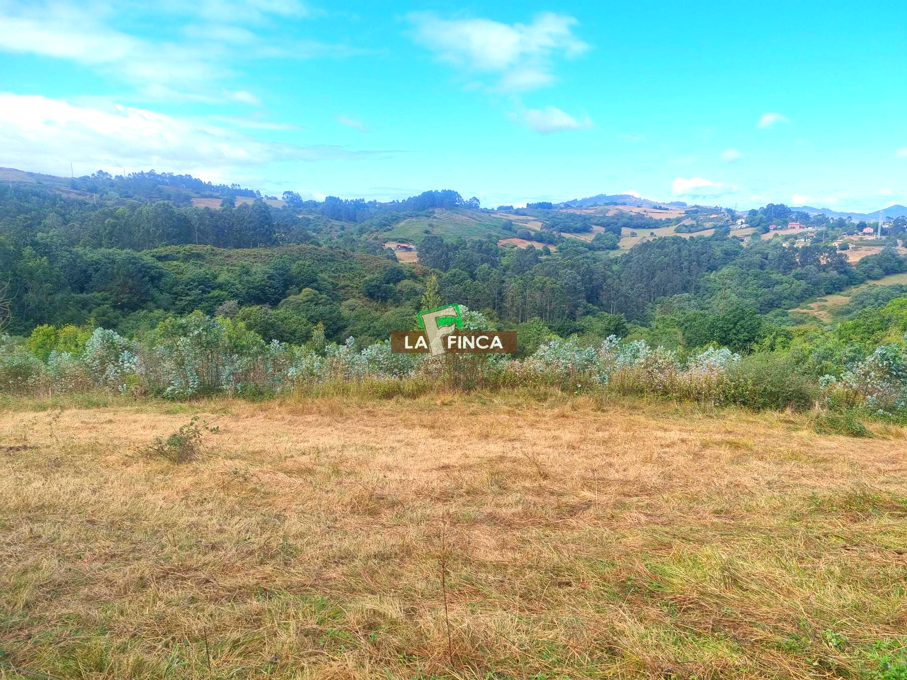 For sale of house in Llanera