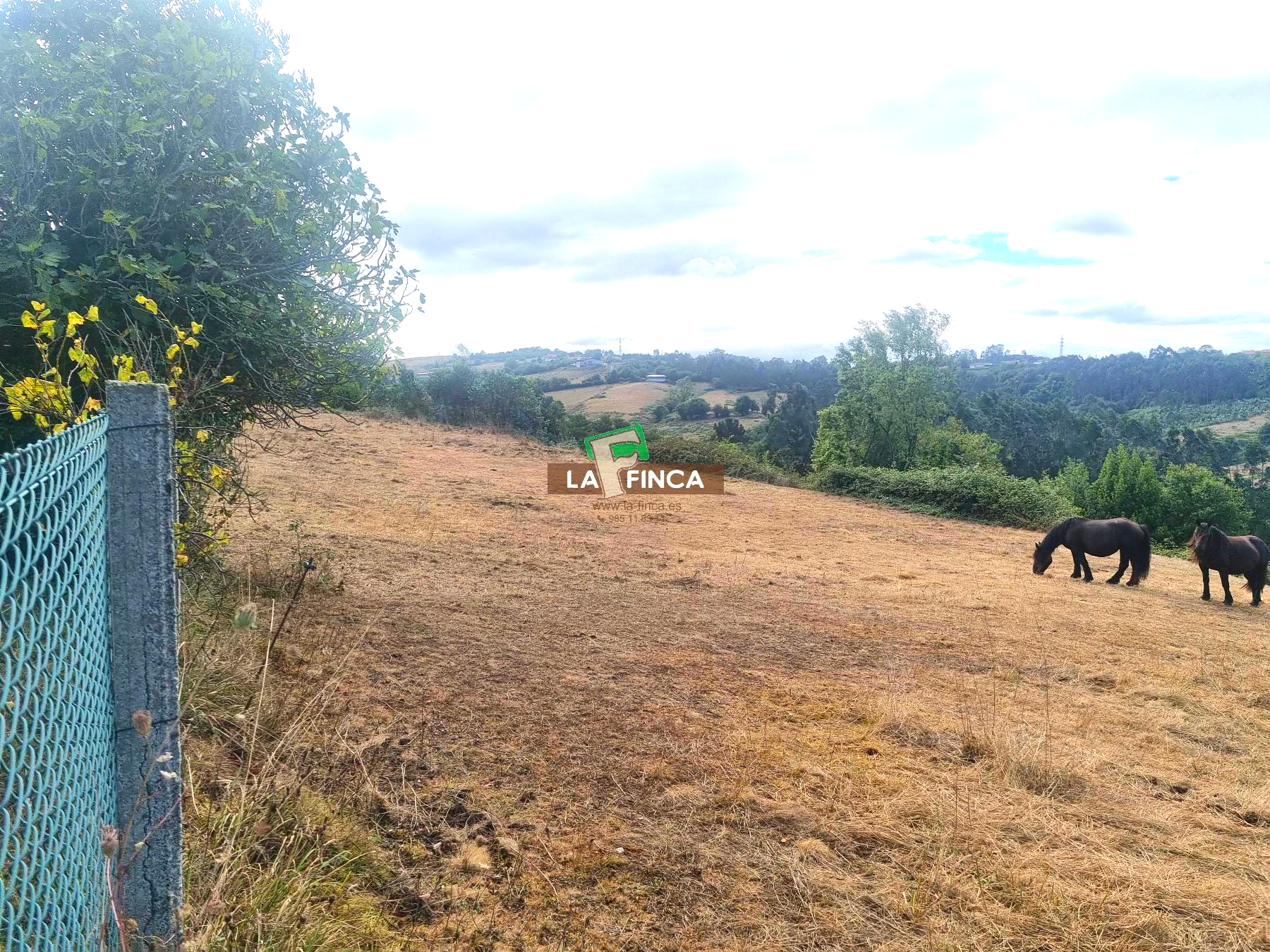 For sale of house in Llanera