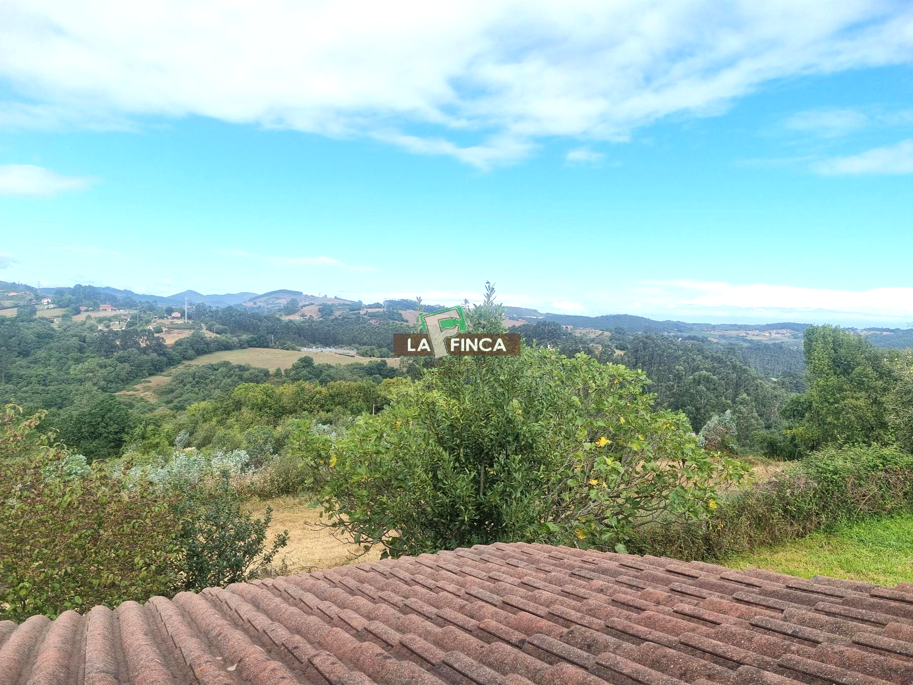 For sale of house in Llanera