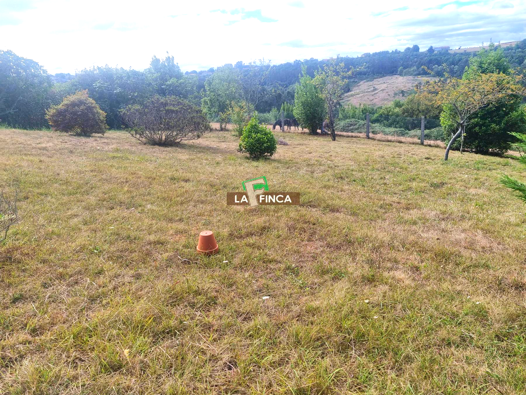 For sale of house in Llanera