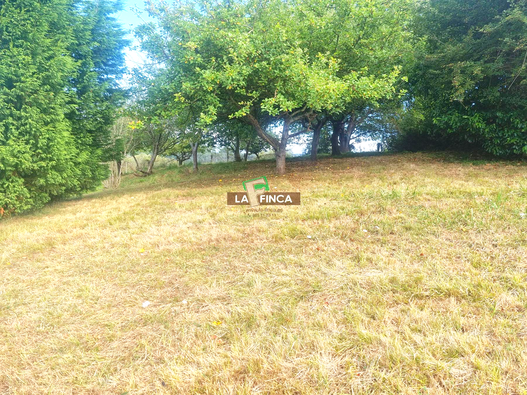 For sale of house in Llanera