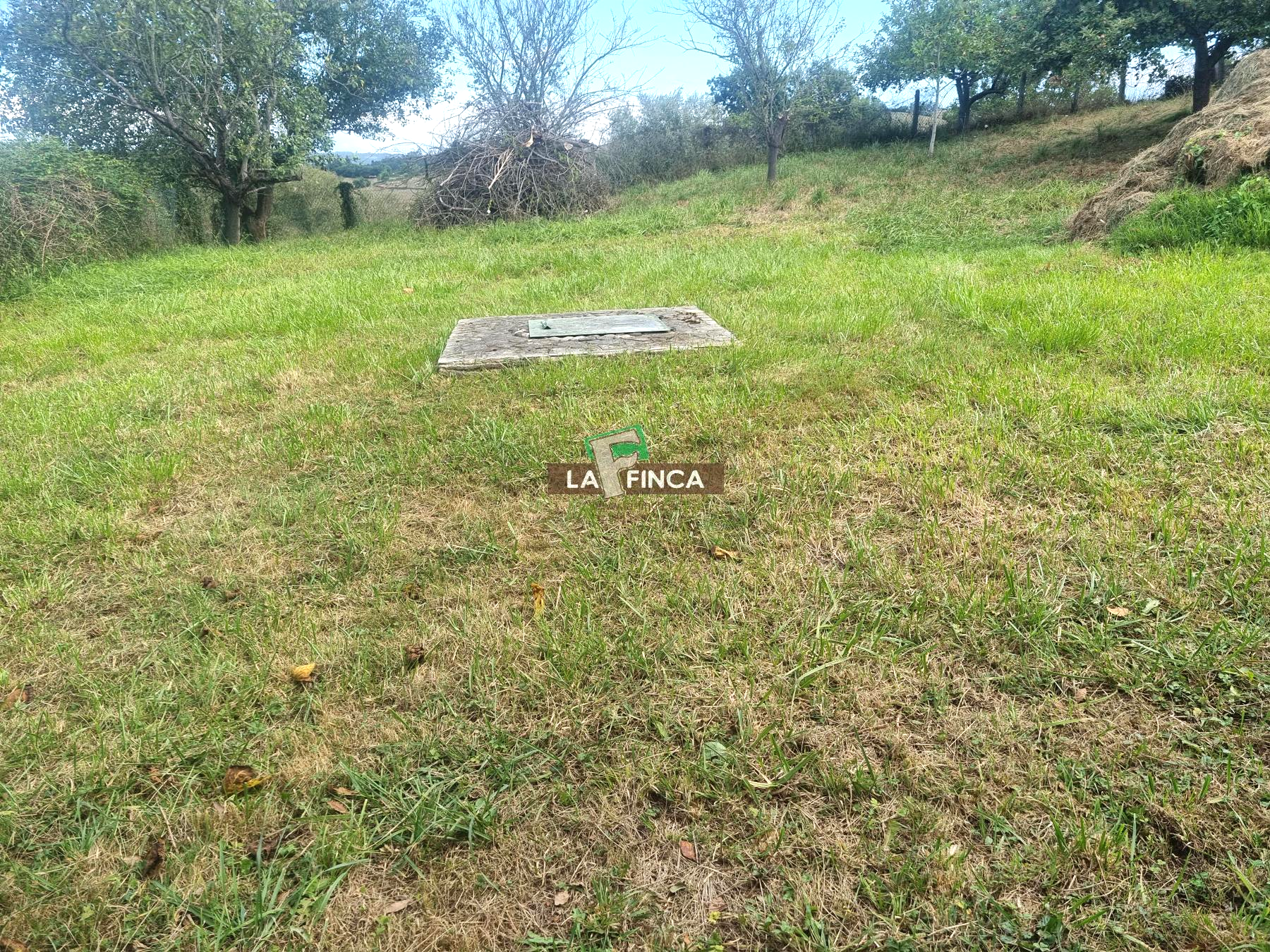 For sale of house in Llanera