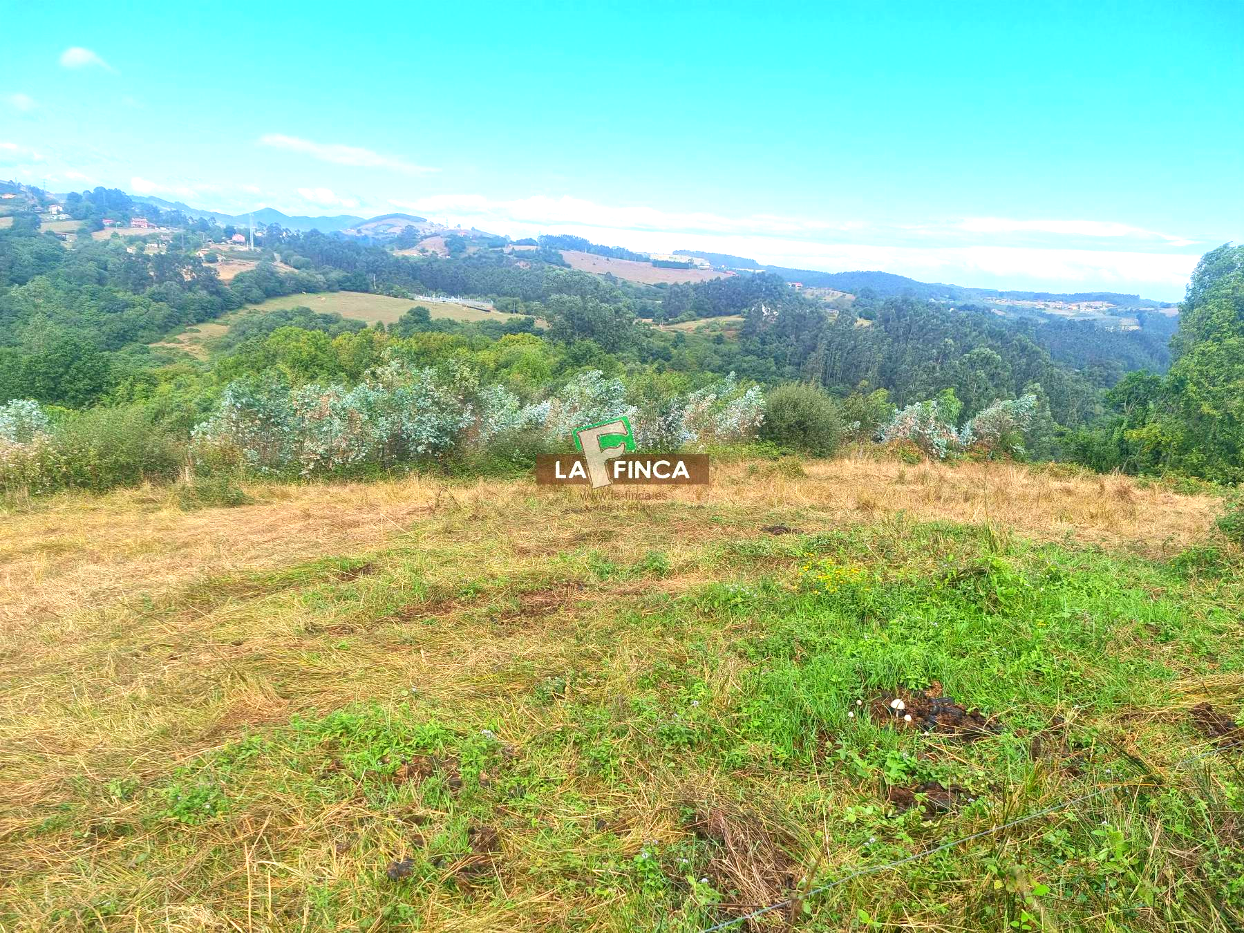 For sale of house in Llanera