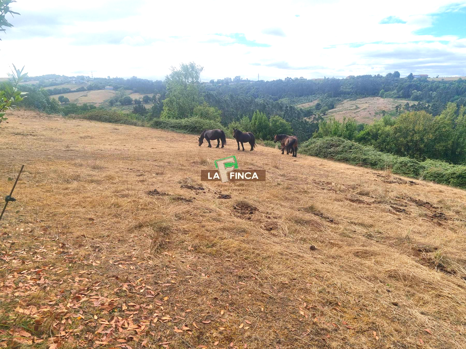 For sale of house in Llanera