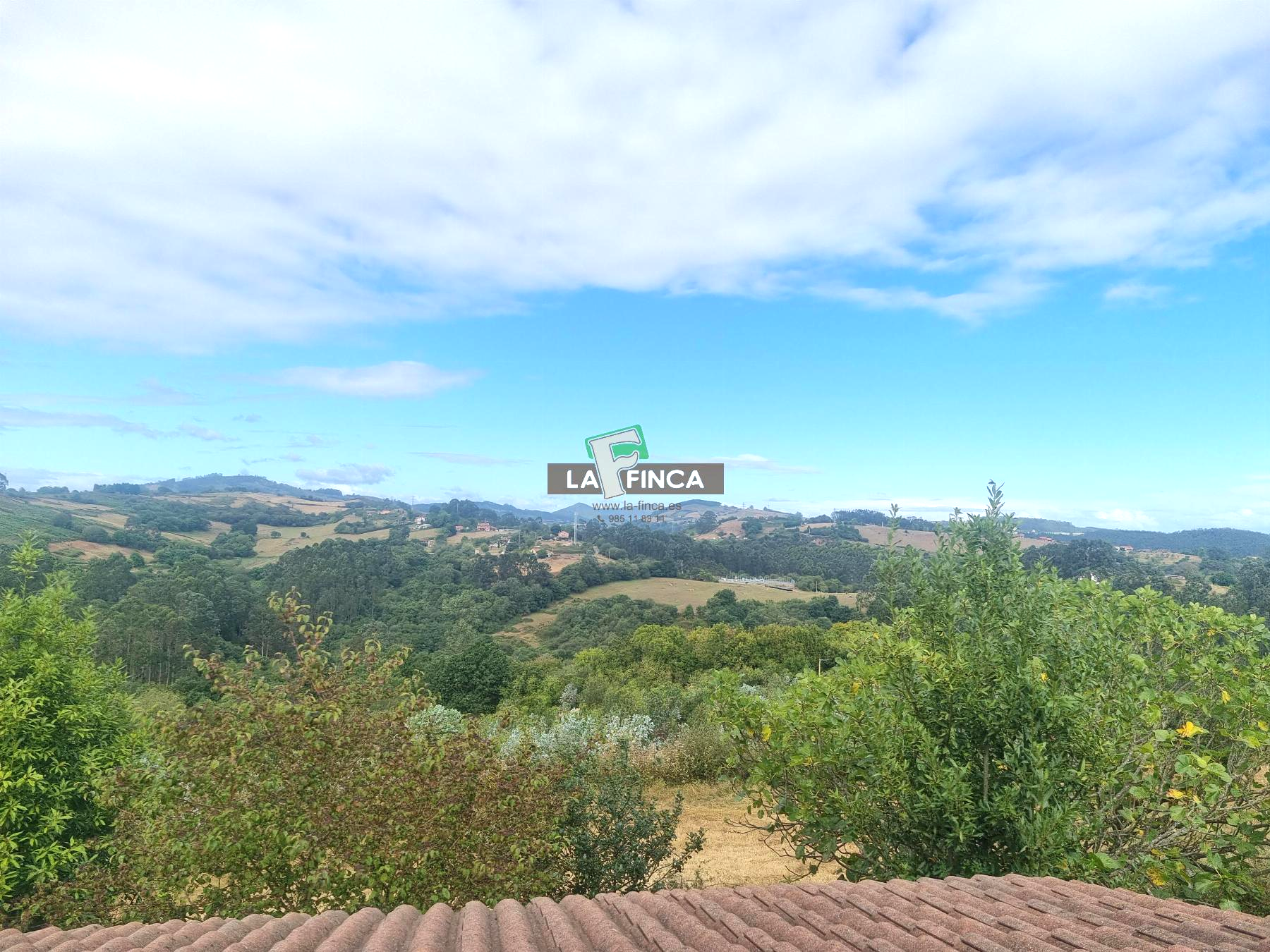 For sale of house in Llanera