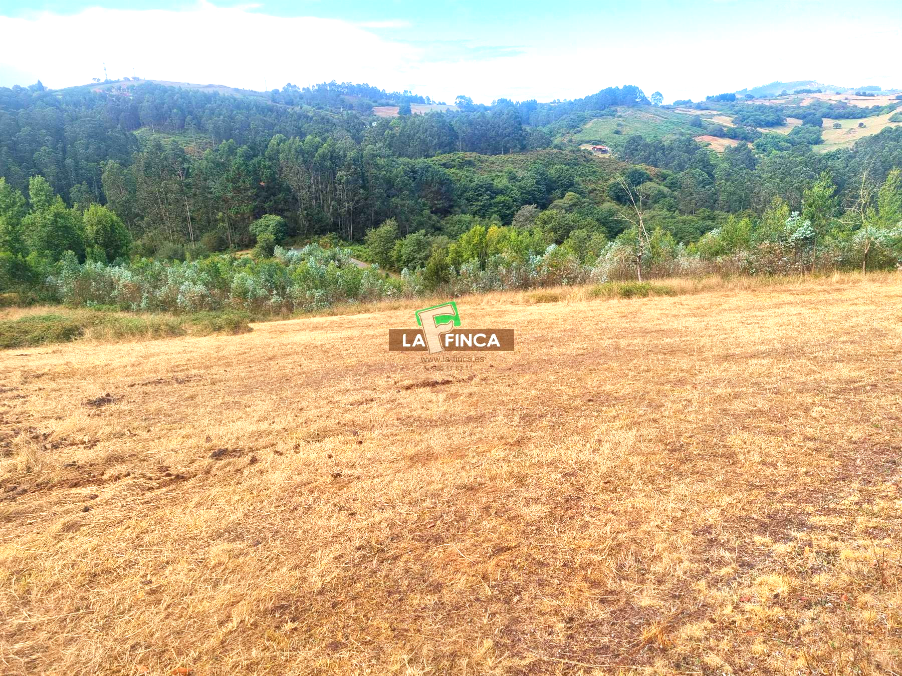 For sale of house in Llanera