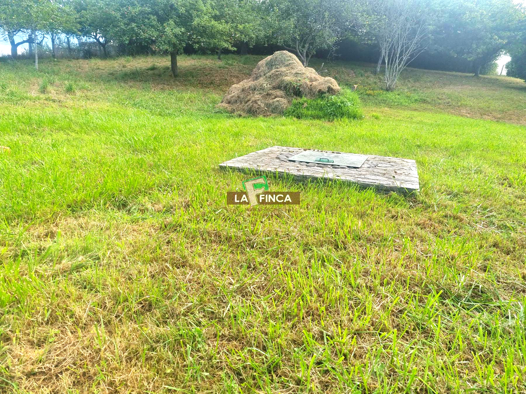 For sale of house in Llanera