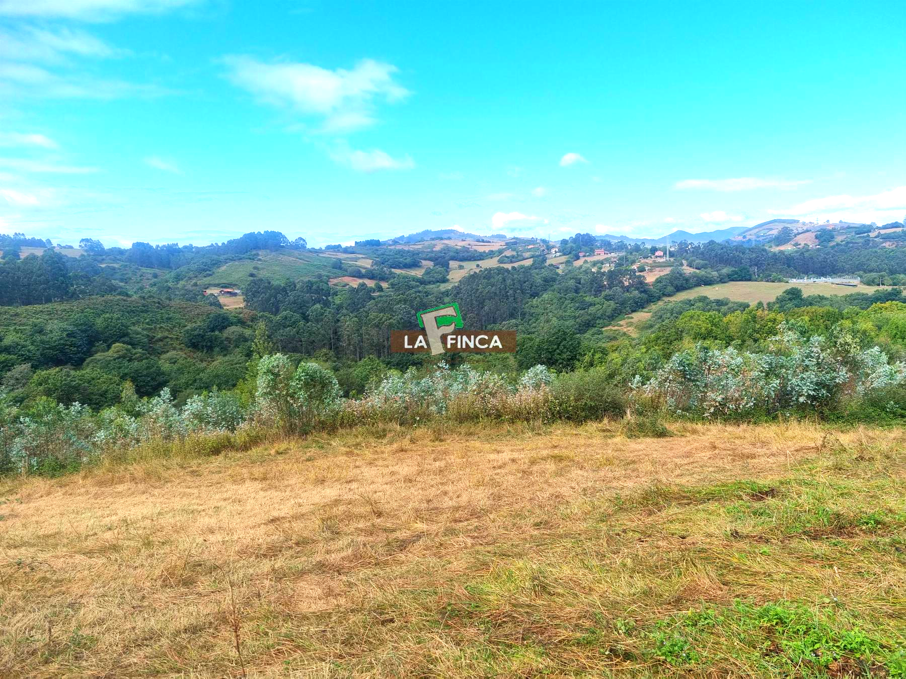 For sale of house in Llanera