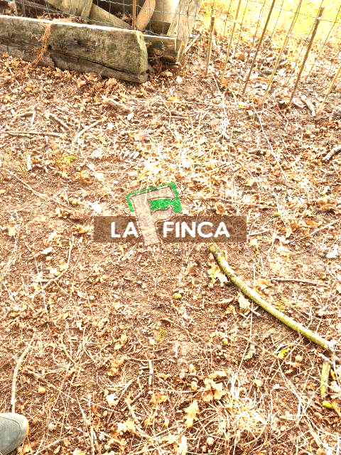 Venta de terreno en Latores