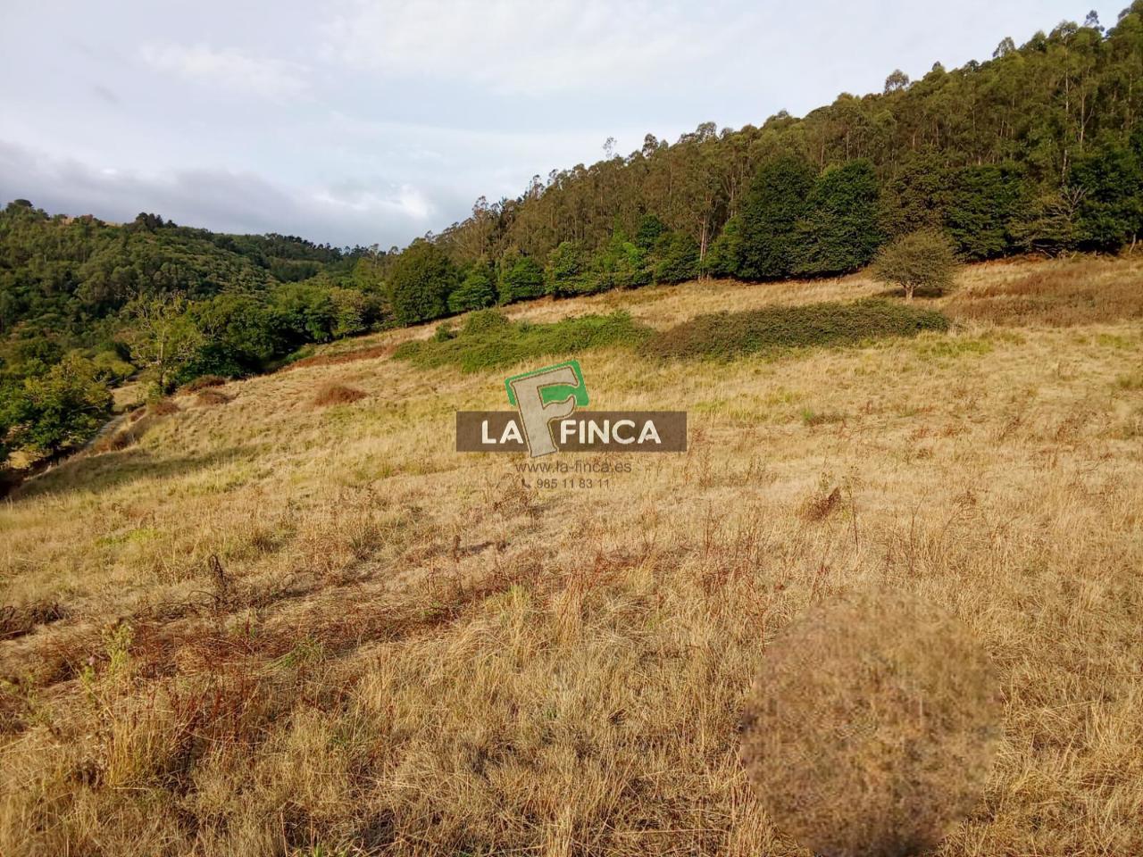 Venta de edificio en Salas