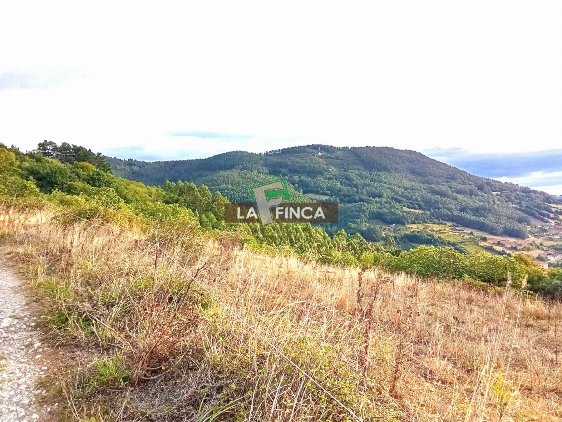 Venta de edificio en Salas