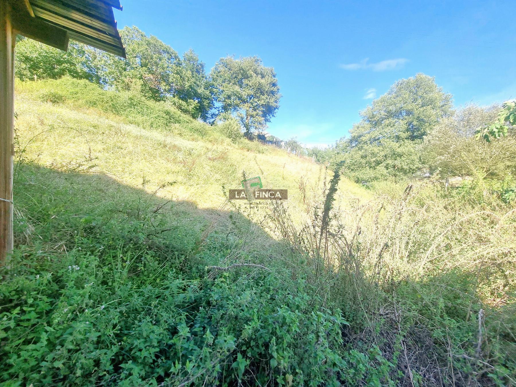 Venta de casa en Oviedo