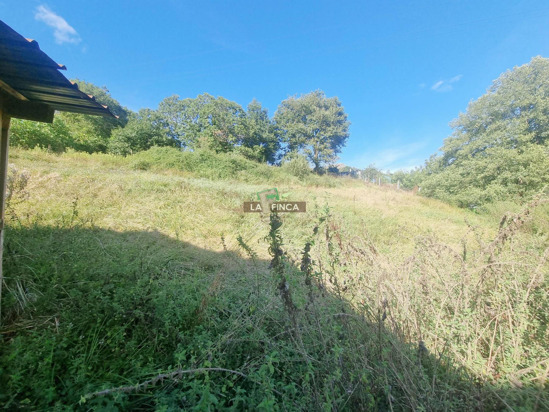 Venta de casa en Oviedo