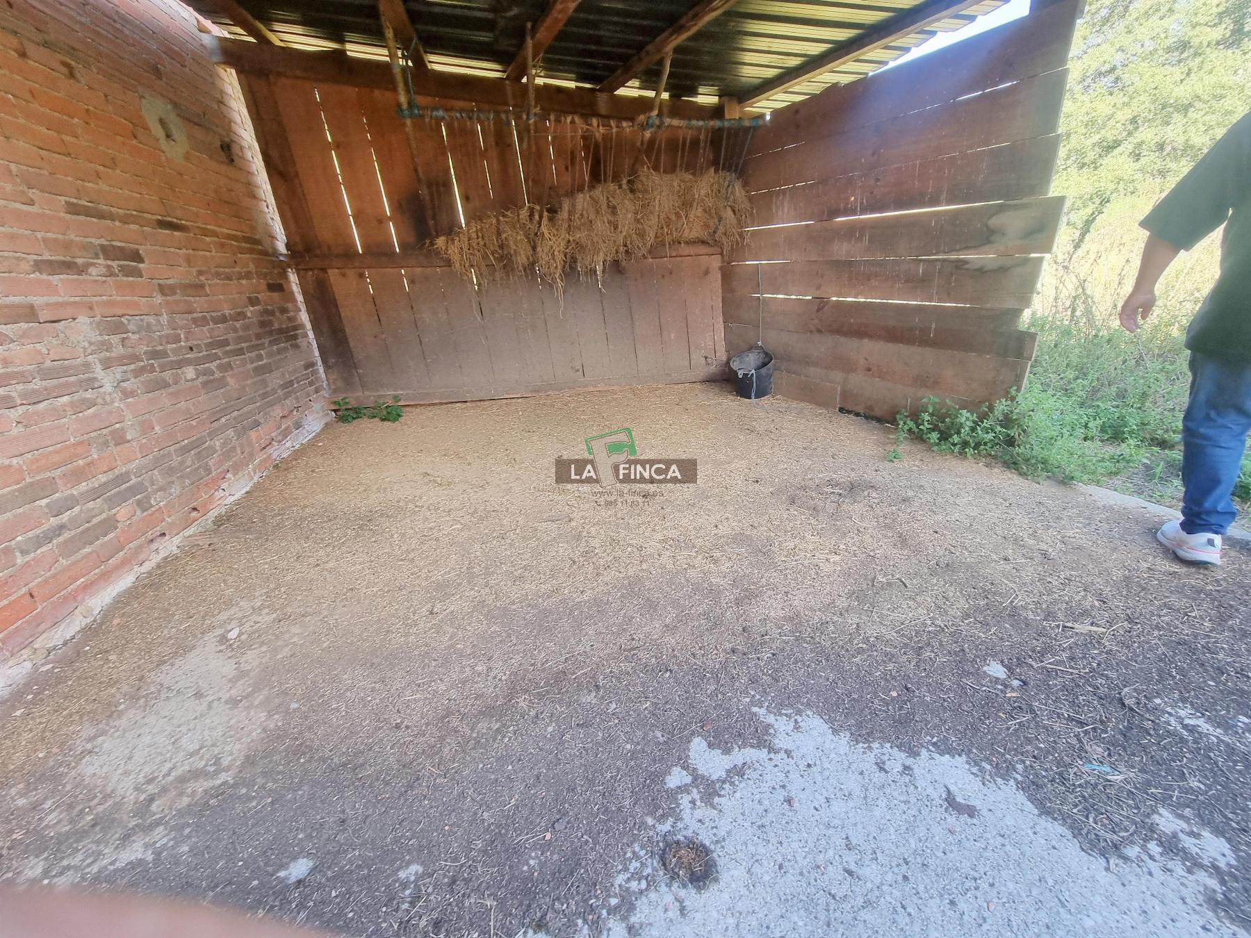 Venta de casa en Oviedo