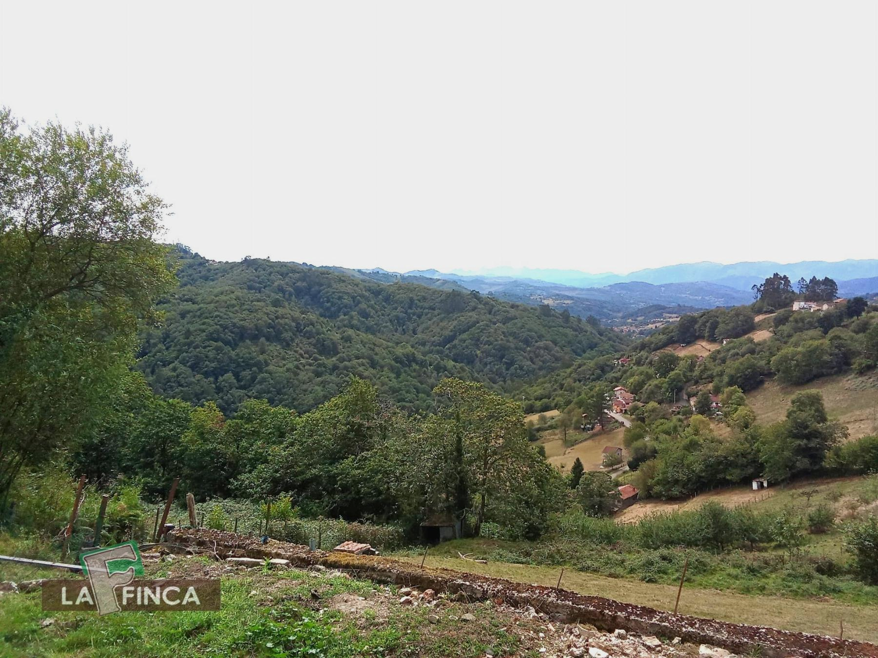 Venta de terreno en Siero