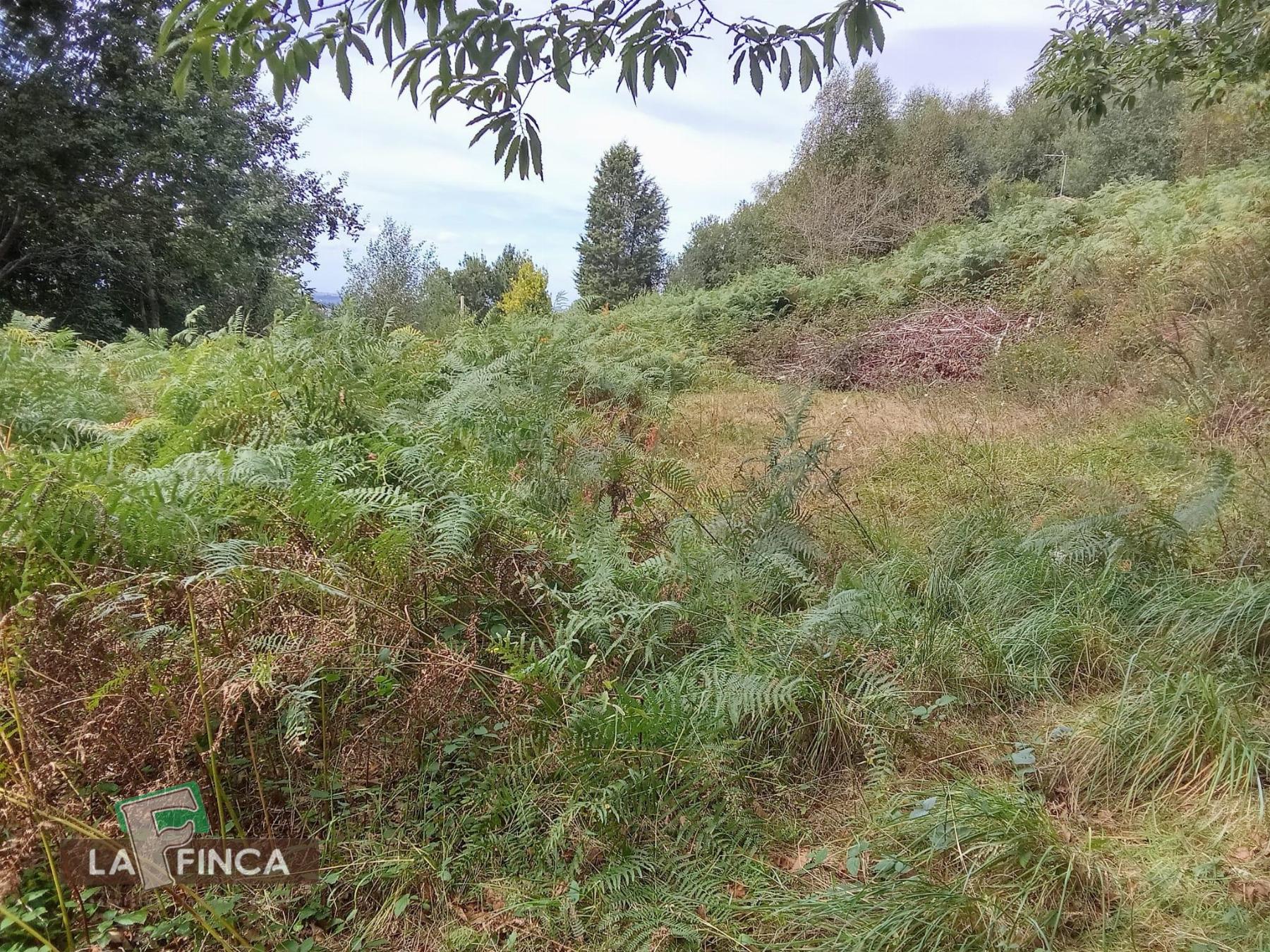 Venta de terreno en Siero