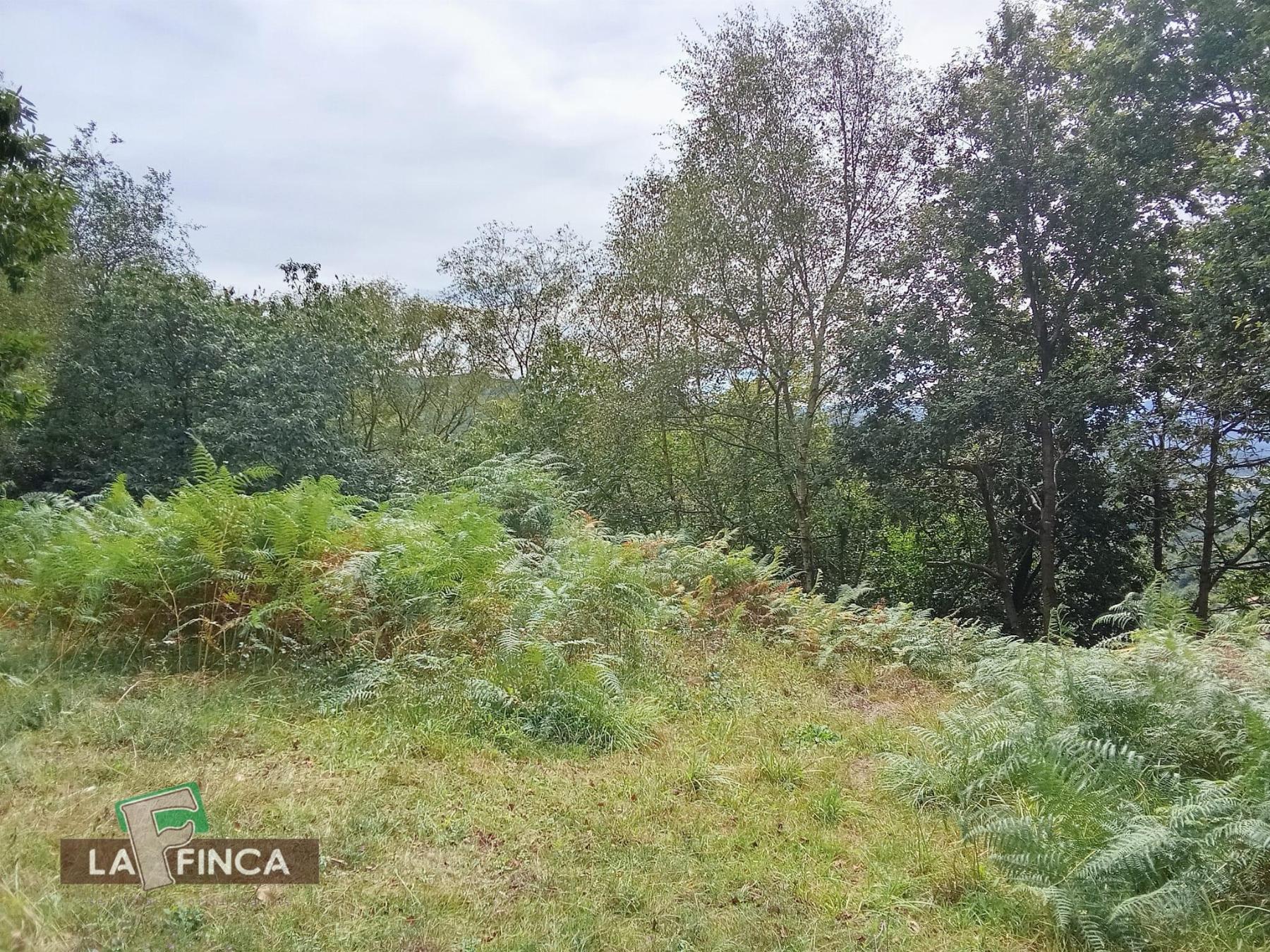 Venta de terreno en Siero