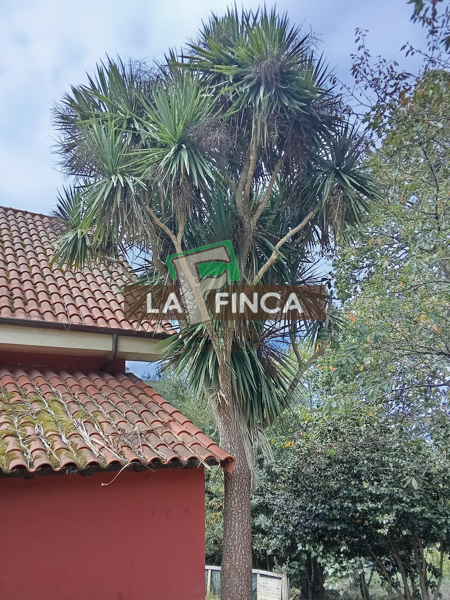 Venta de casa en Noreña Concejo