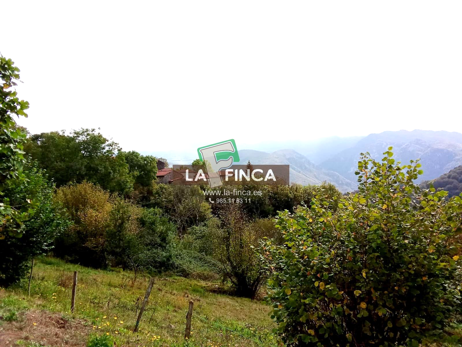 For sale of house in Santo Adriano