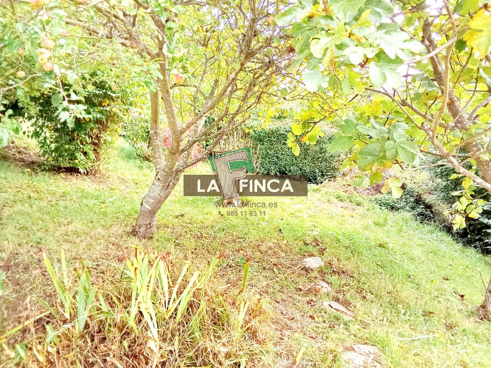 For sale of house in Santo Adriano