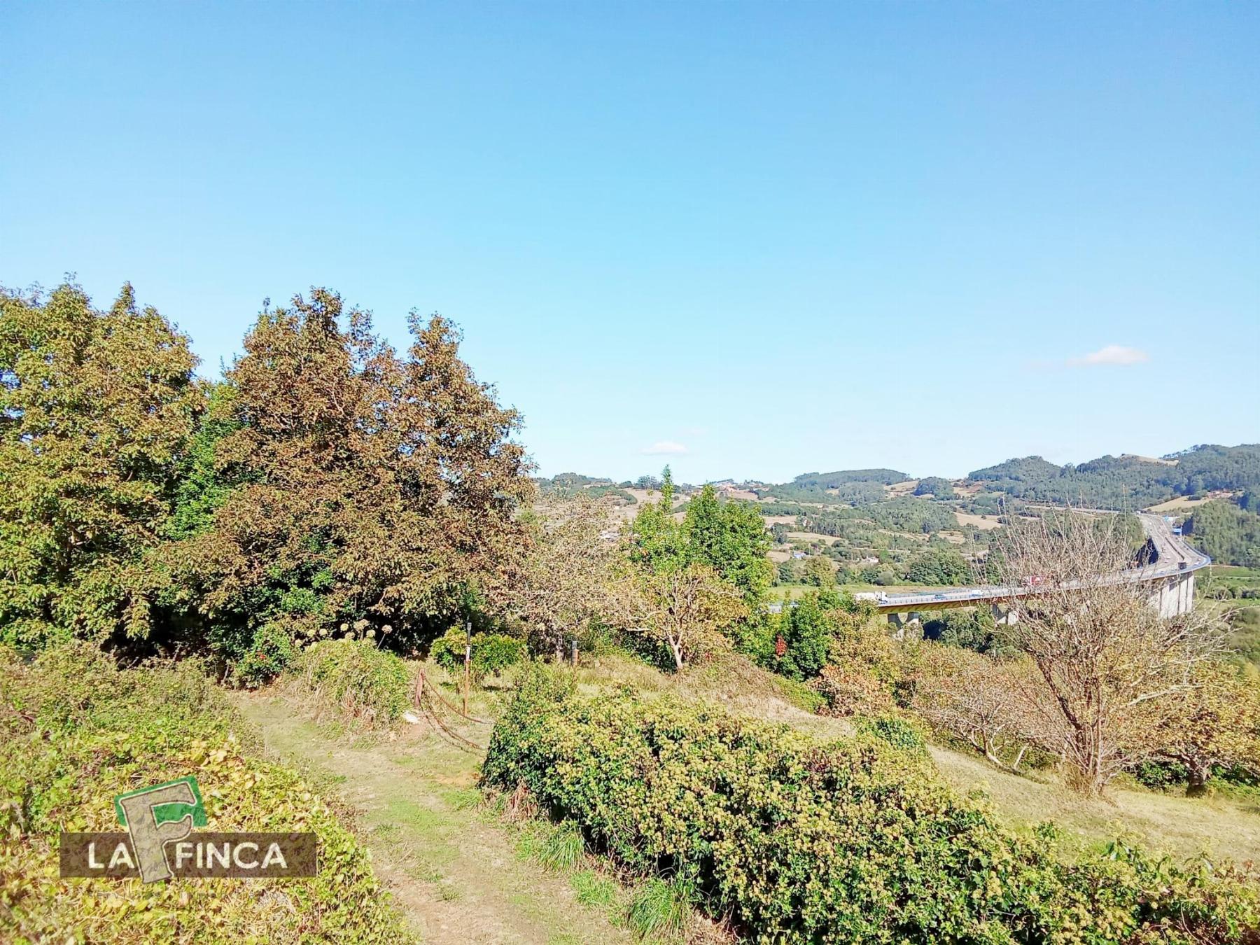 Venta de finca rústica en Pravia