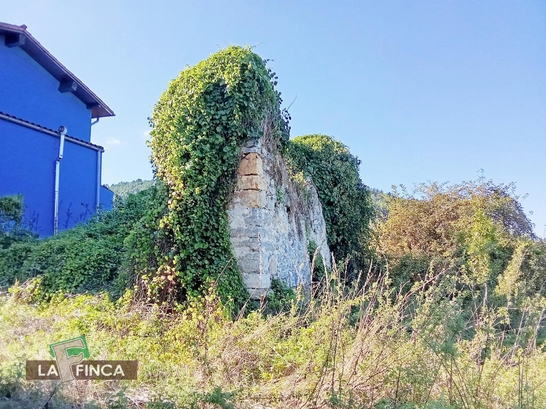 Venta de finca rústica en Pravia