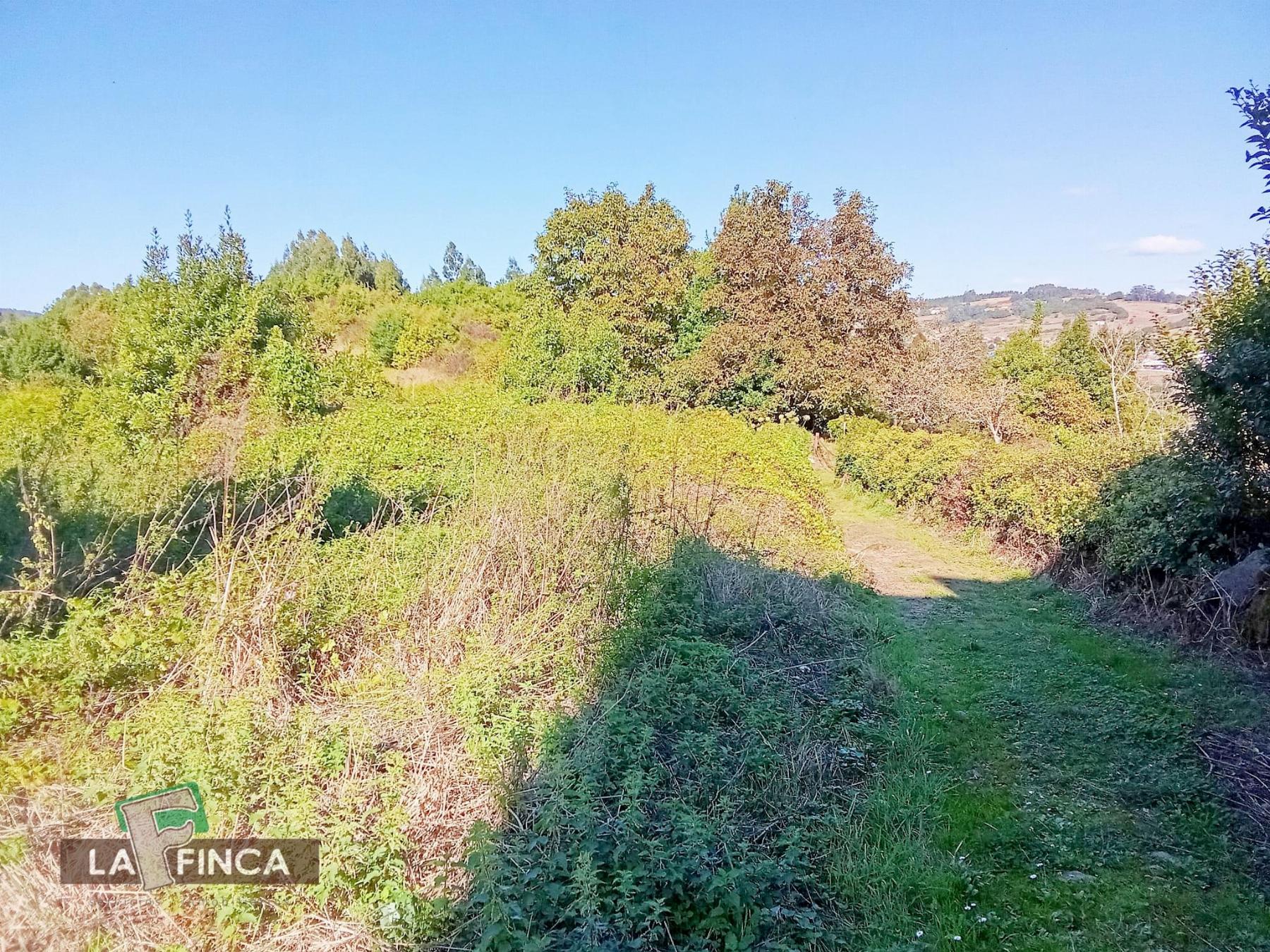 Venta de finca rústica en Pravia