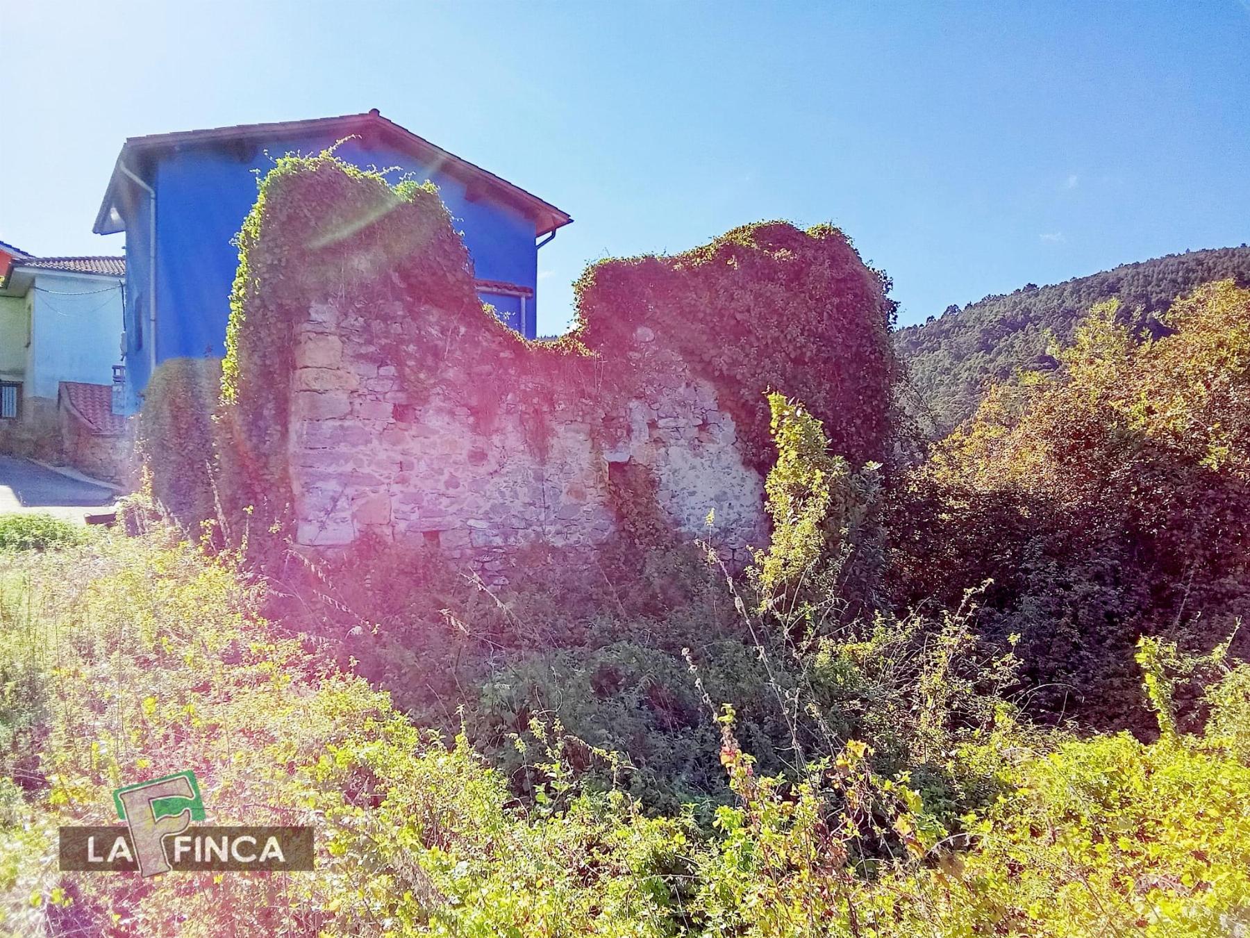 Venta de finca rústica en Pravia