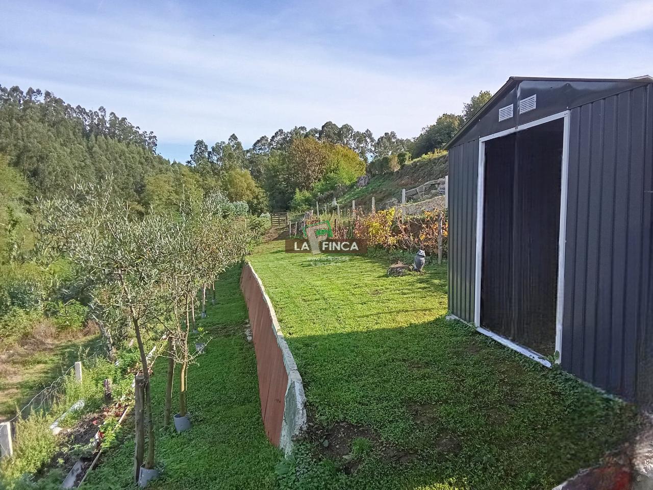 For sale of house in Muros del Nalón