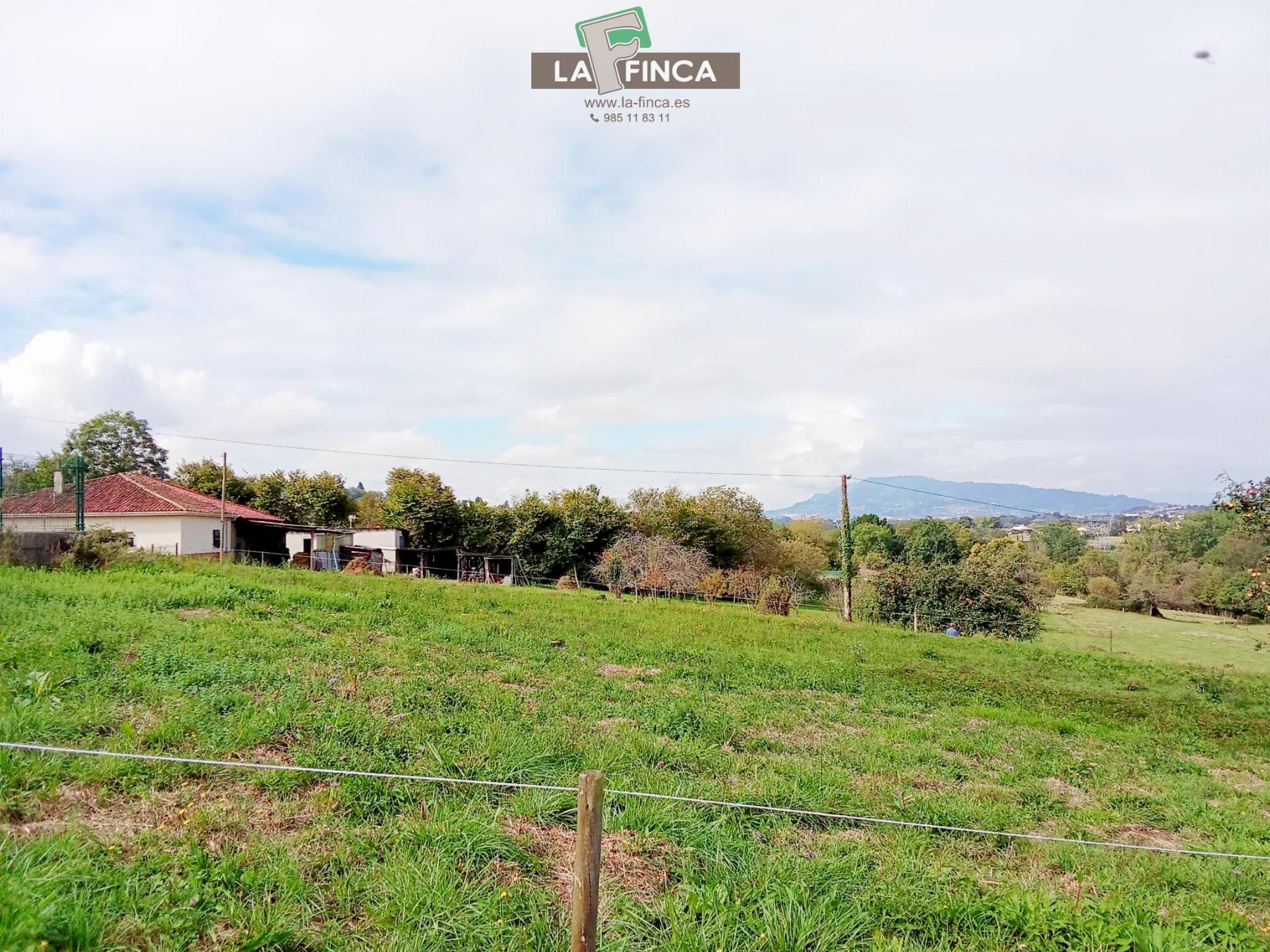 Venta de terreno en Siero