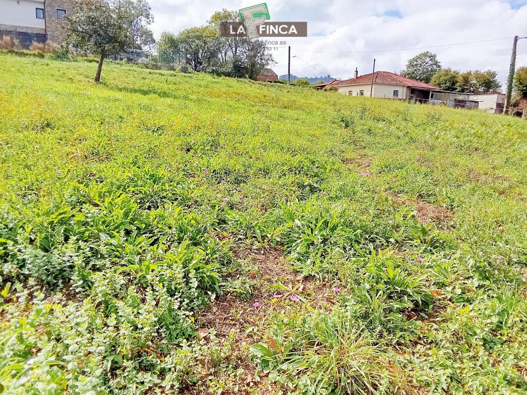 Venta de terreno en Siero