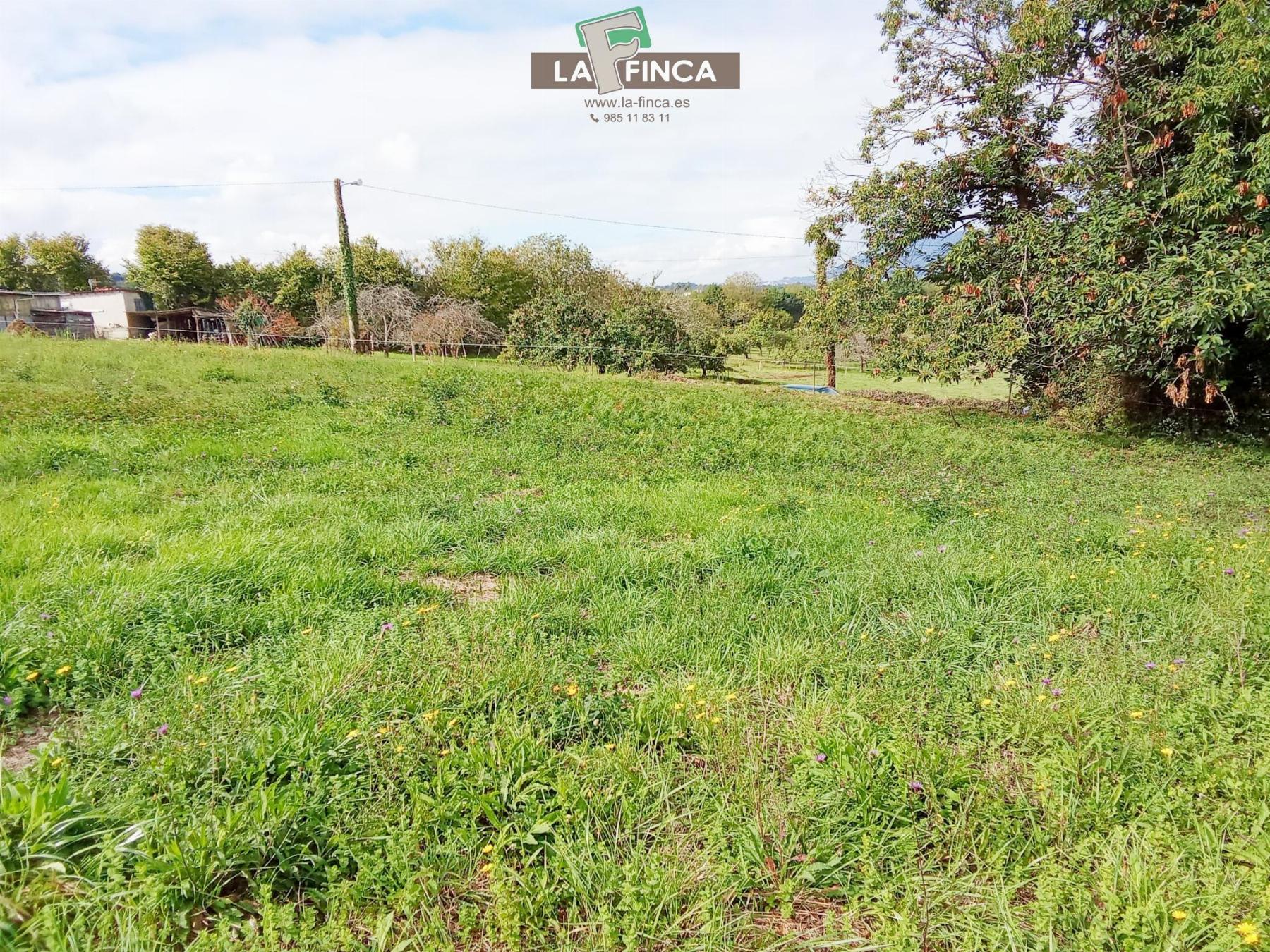 Venta de terreno en Siero