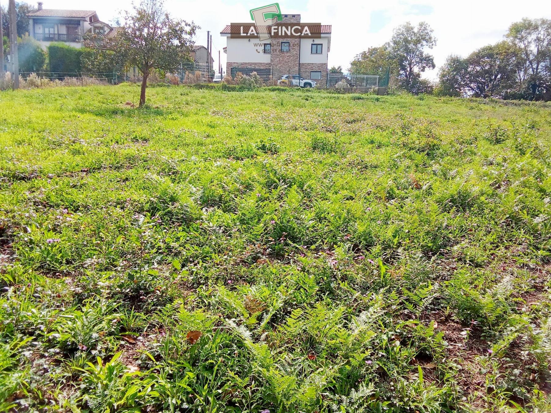 Venta de terreno en Siero