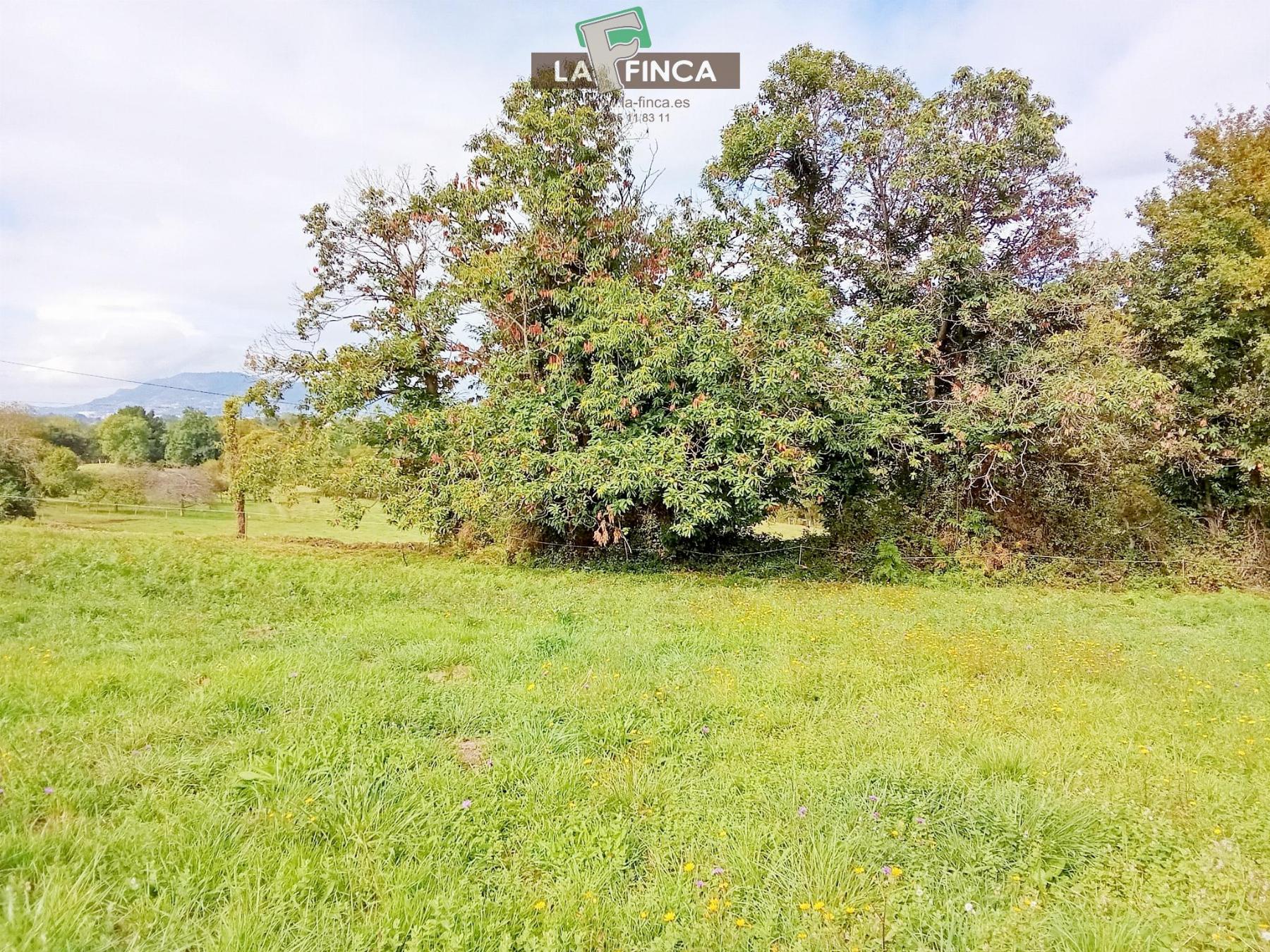 Venta de terreno en Siero