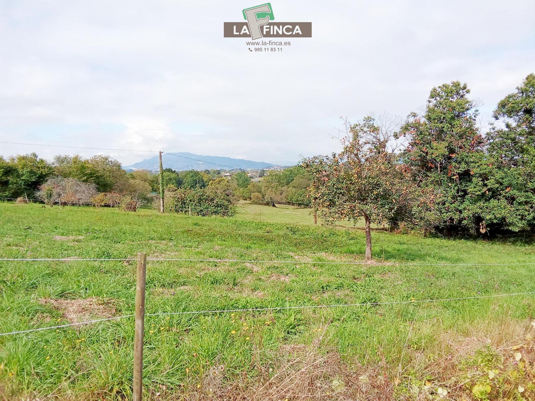 Venta de terreno en Siero