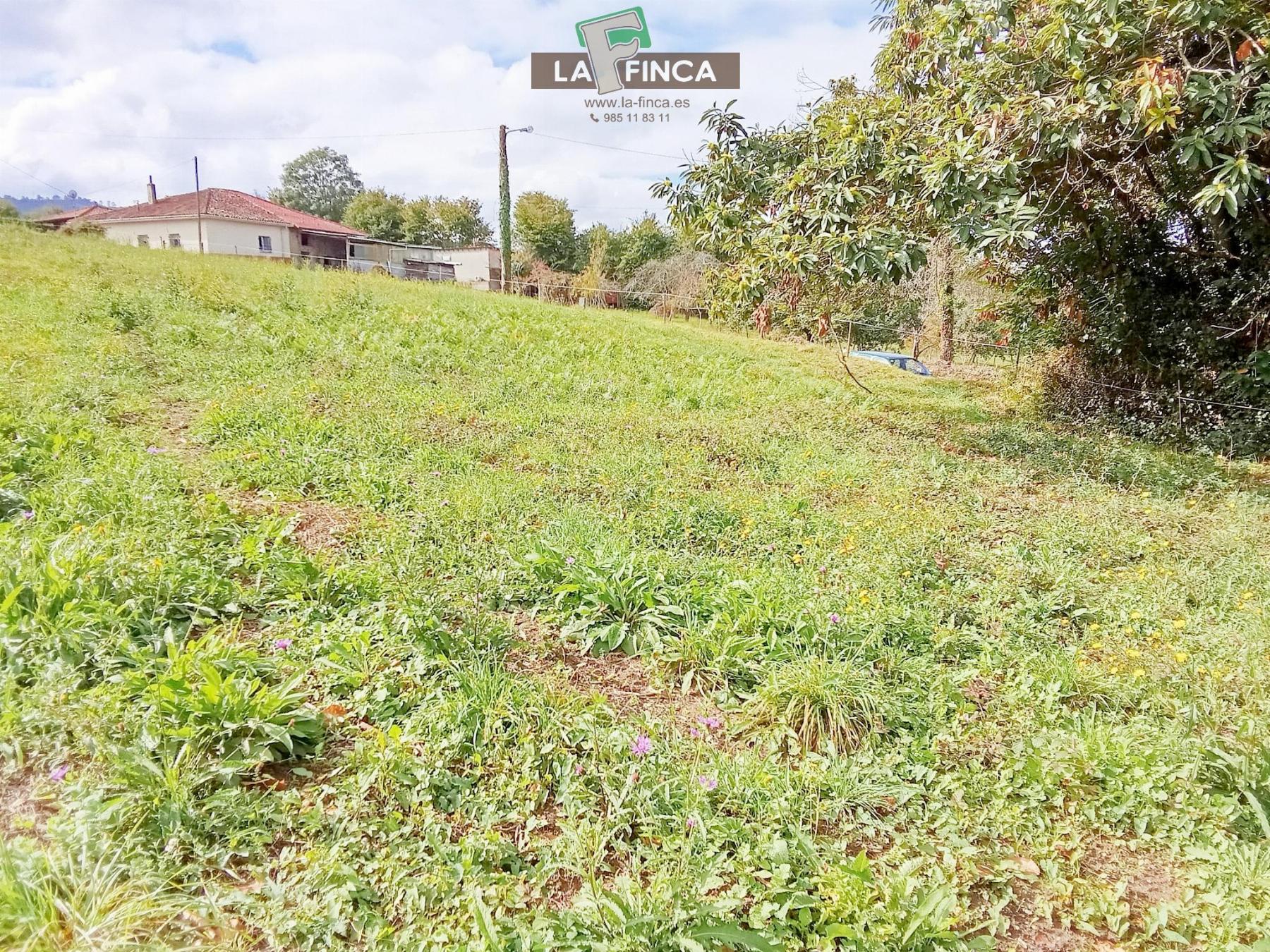 Venta de terreno en Siero